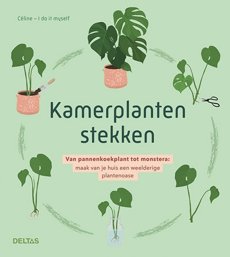 Kamerplanten stekken: van pannenkoekplant tot monstera : maak van je huis een weelderige plantenoase Garden & Plants