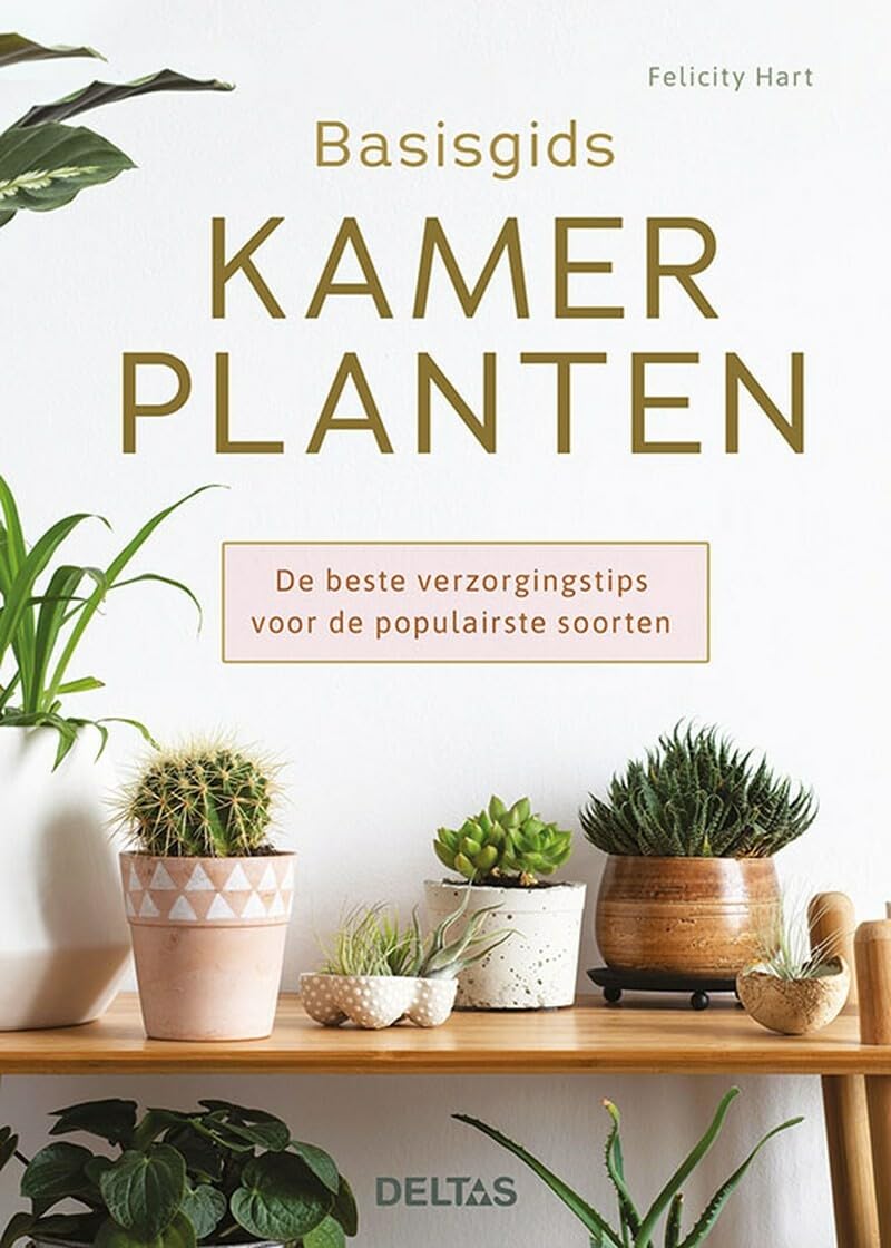 Basisgids kamerplanten: de beste verzorgingstips voor de populairste soorten Leisure, Home & Garden