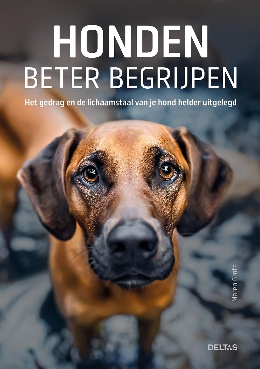 Honden beter begrijpen: het gedrag en de lichaamstaal van je hond helder uitgelegd book