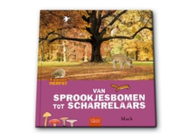 Van sprookjesbomen tot scharrelaars: 4 seizoenen book