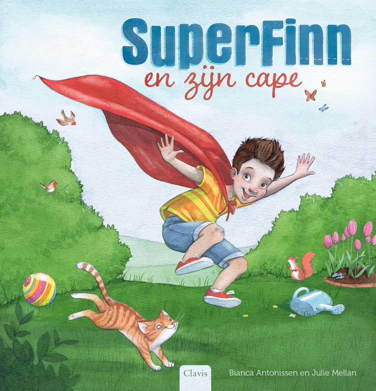 SuperFinn en zijn cape book