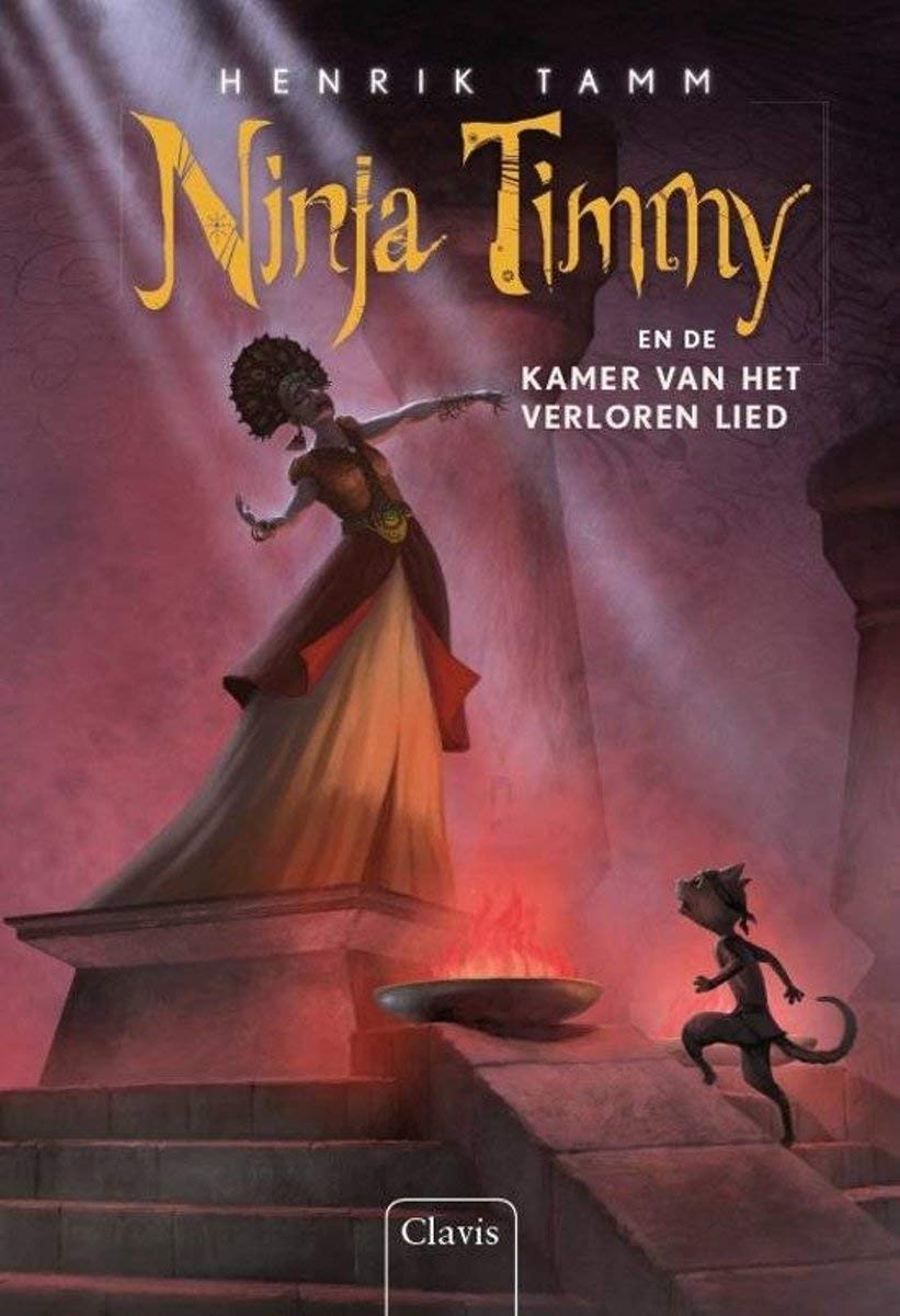 Ninja Timmy en de kamer van het verloren lied book