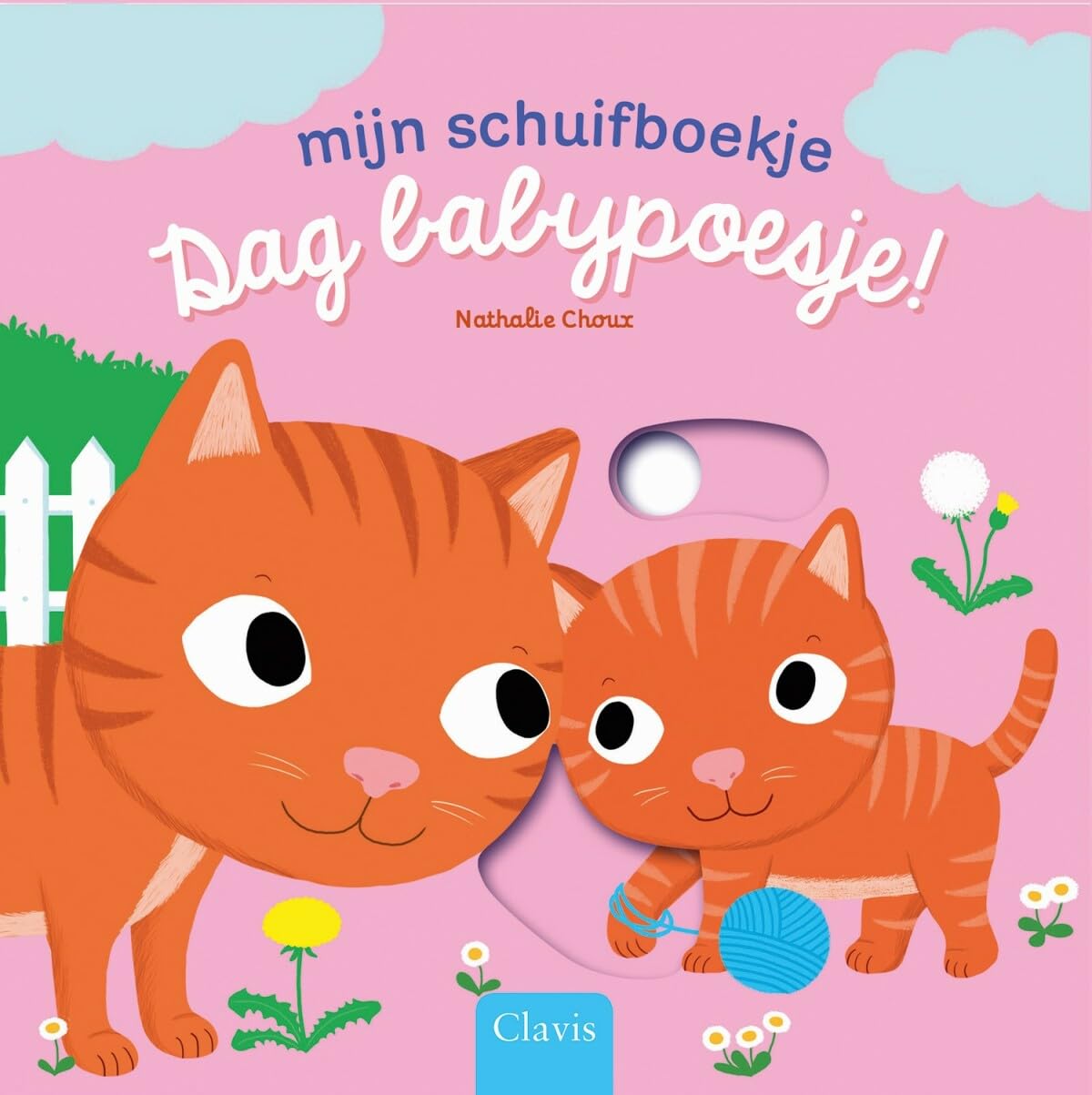 Dag babypoesje! book