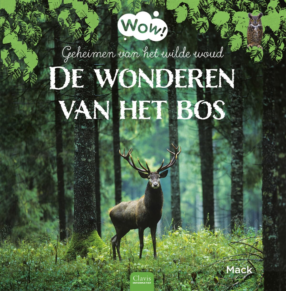 Geheimen van het wilde woud: de wonderen van het bos book