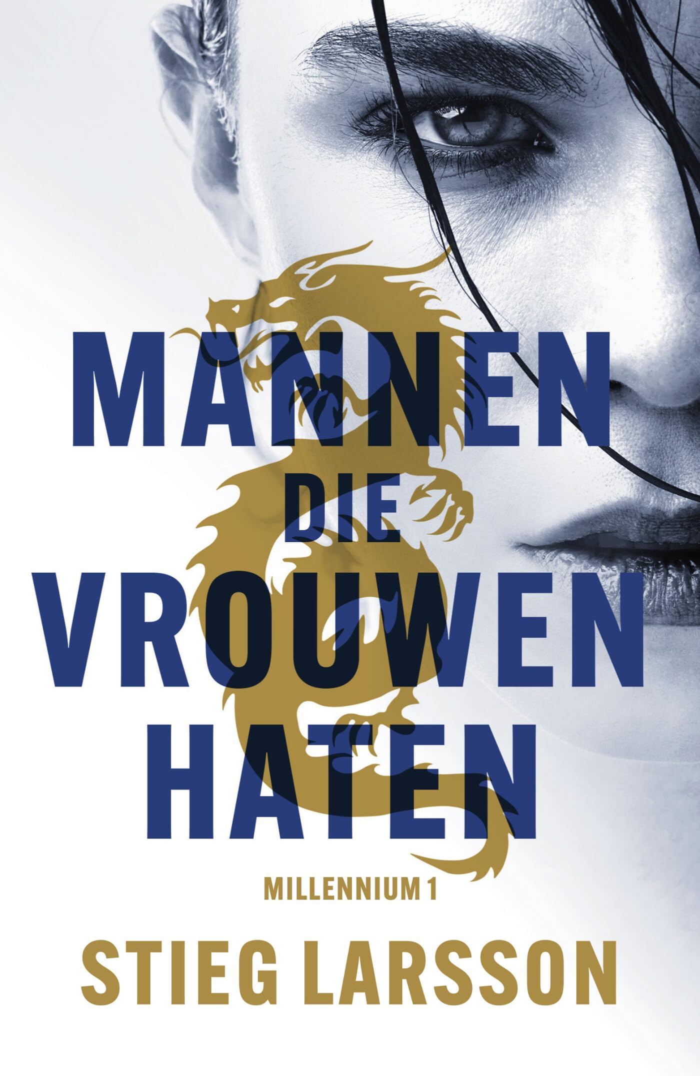 Mannen die vrouwen haten (Millennium, 1) Contemporary literature
