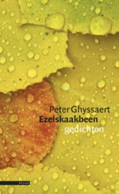 Ezelskaakbeen: gedichten Poetry