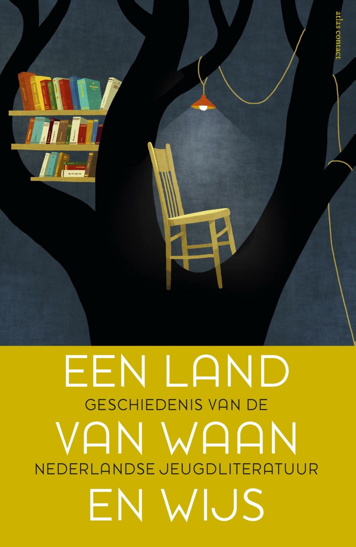 Een land van Waan en Wijs: geschiedenis van de Nederlandse jeugdliteratuur book