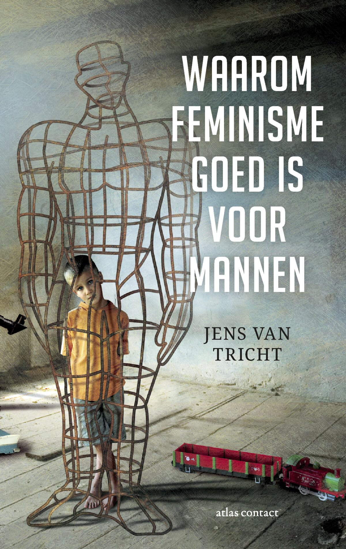 Waarom feminisme goed is voor mannen book