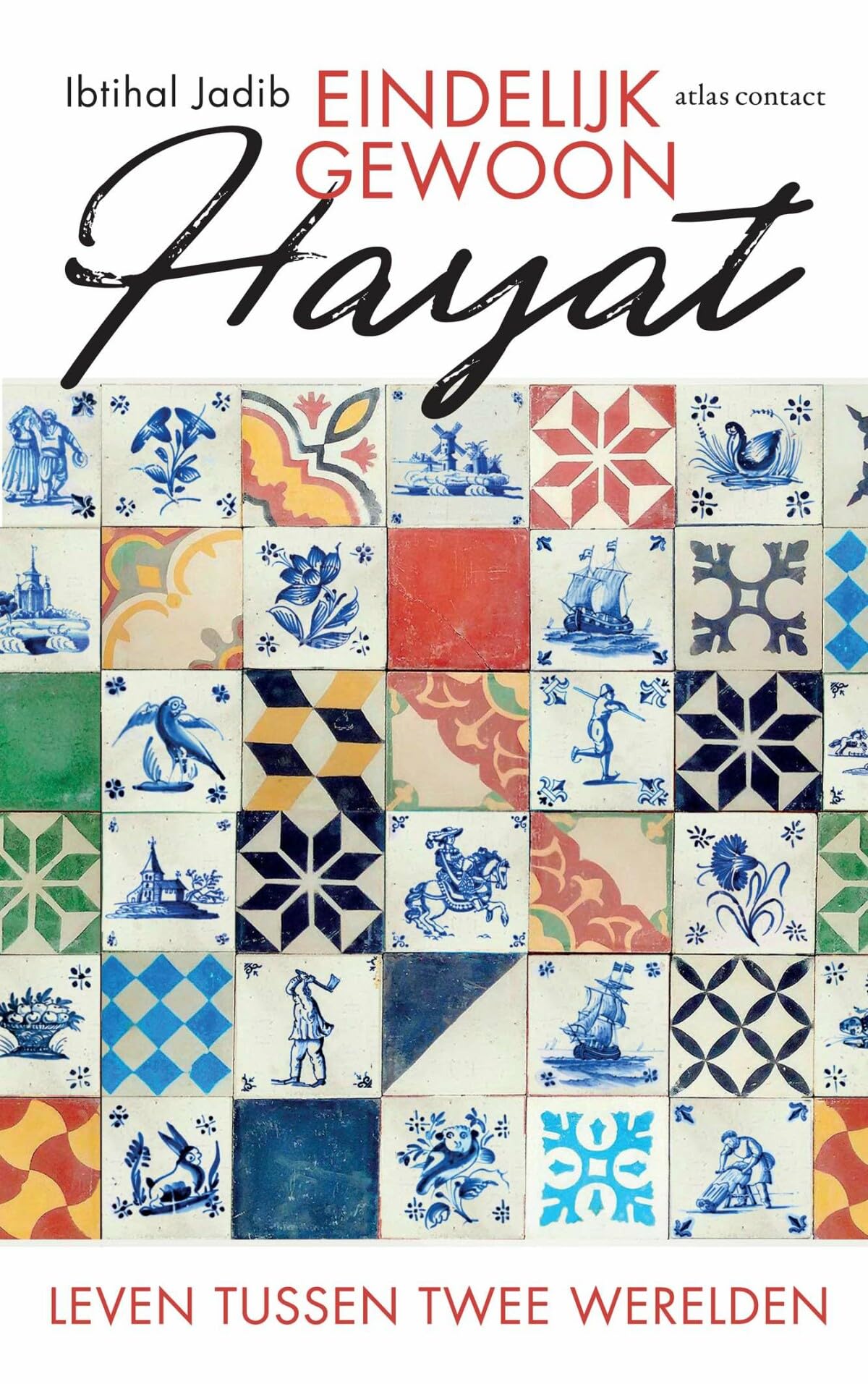 Eindelijk gewoon Hayat: leven tussen twee werelden book