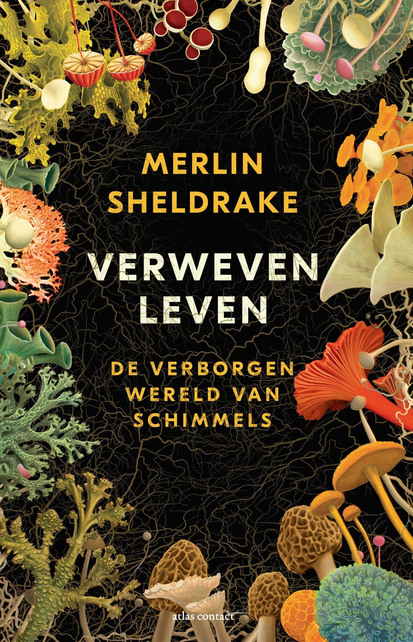 Verweven leven: de verborgen wereld van schimmels Mathematics