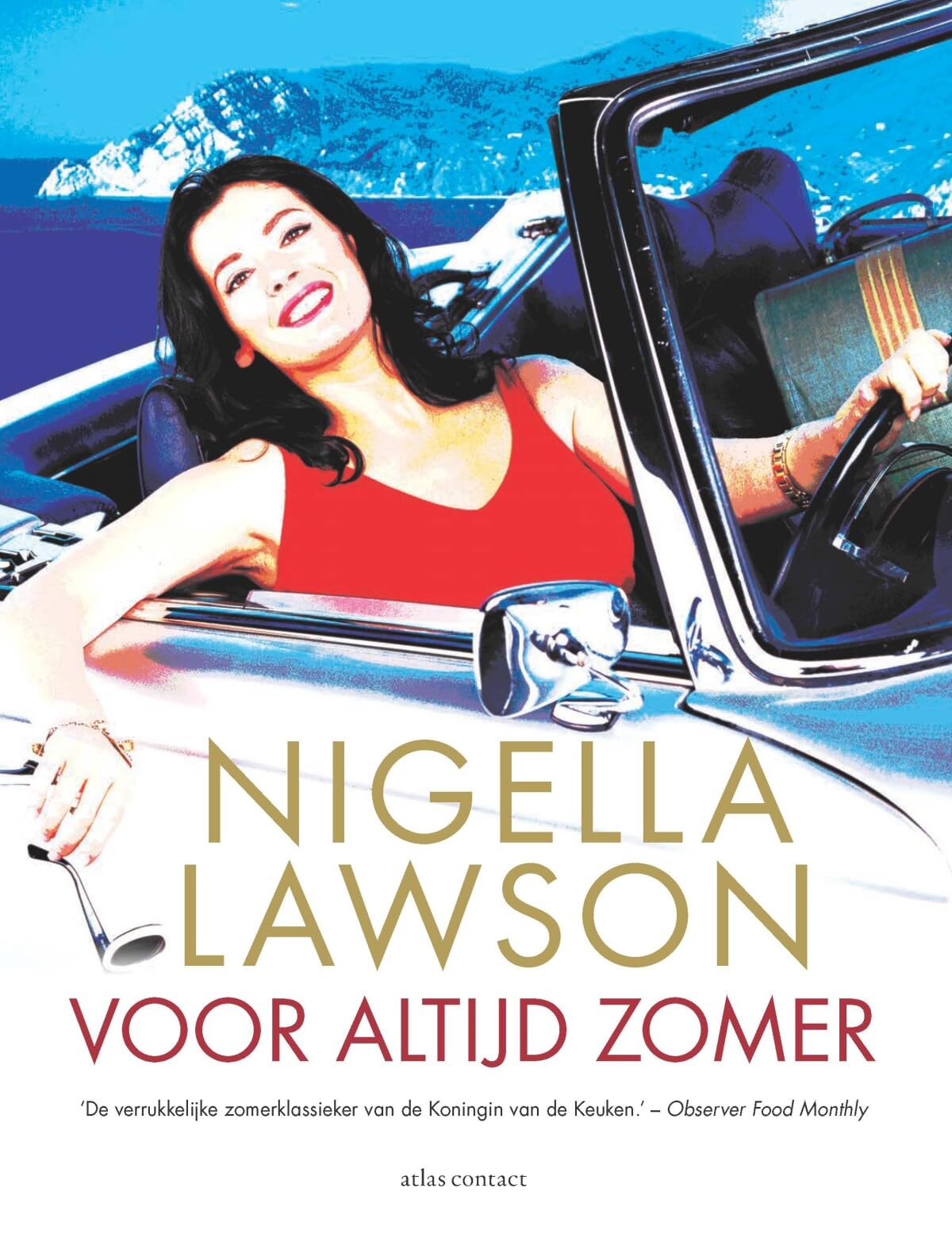 Voor altijd zomer book