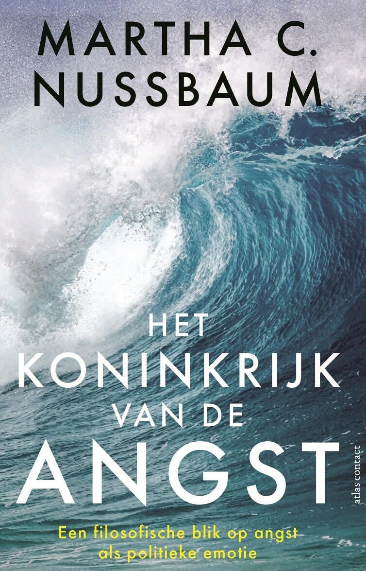 Het koninkrijk van de angst: een filosofische blik op angst als politieke emotie book