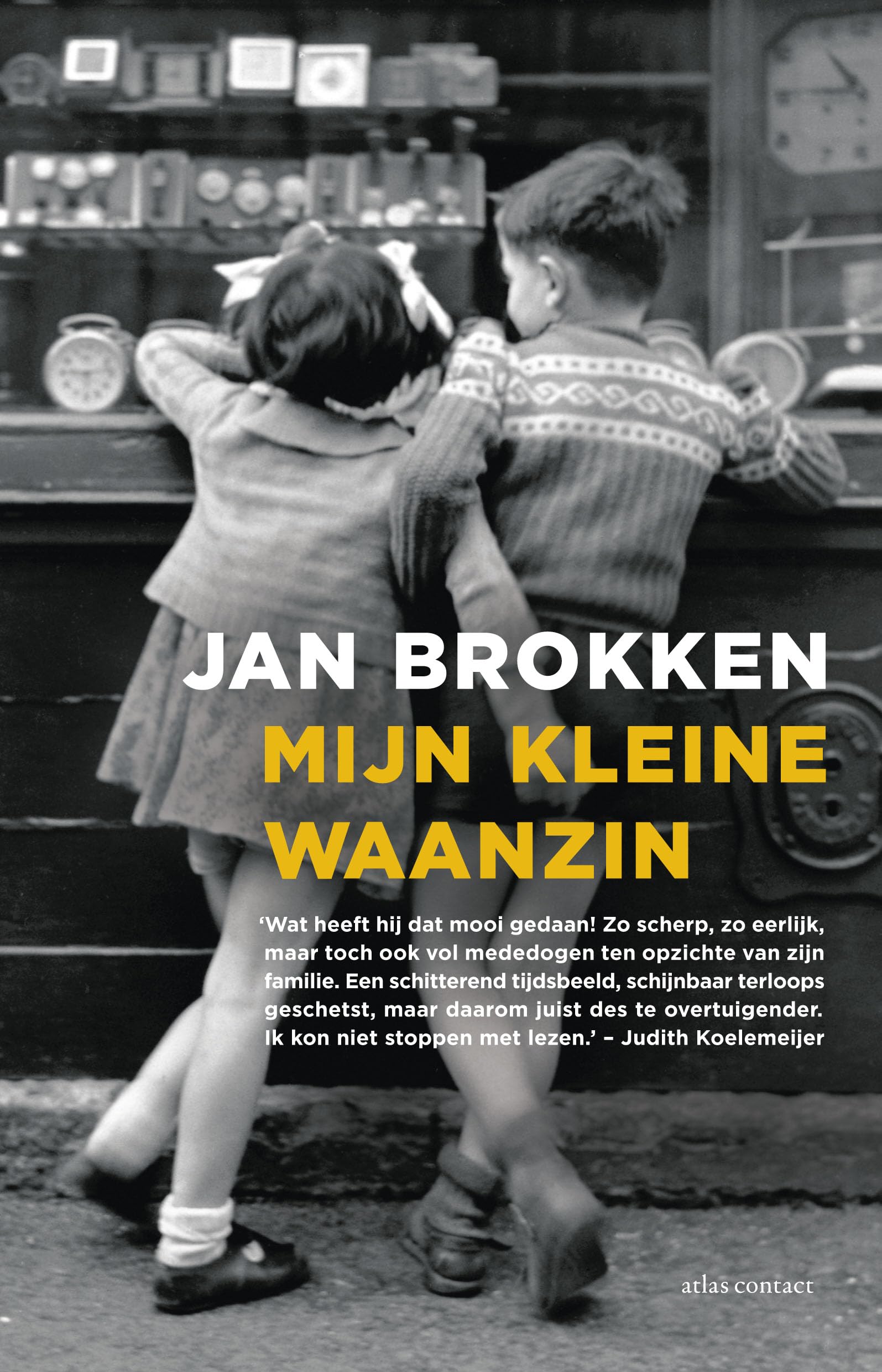 Mijn kleine waanzin: roman book