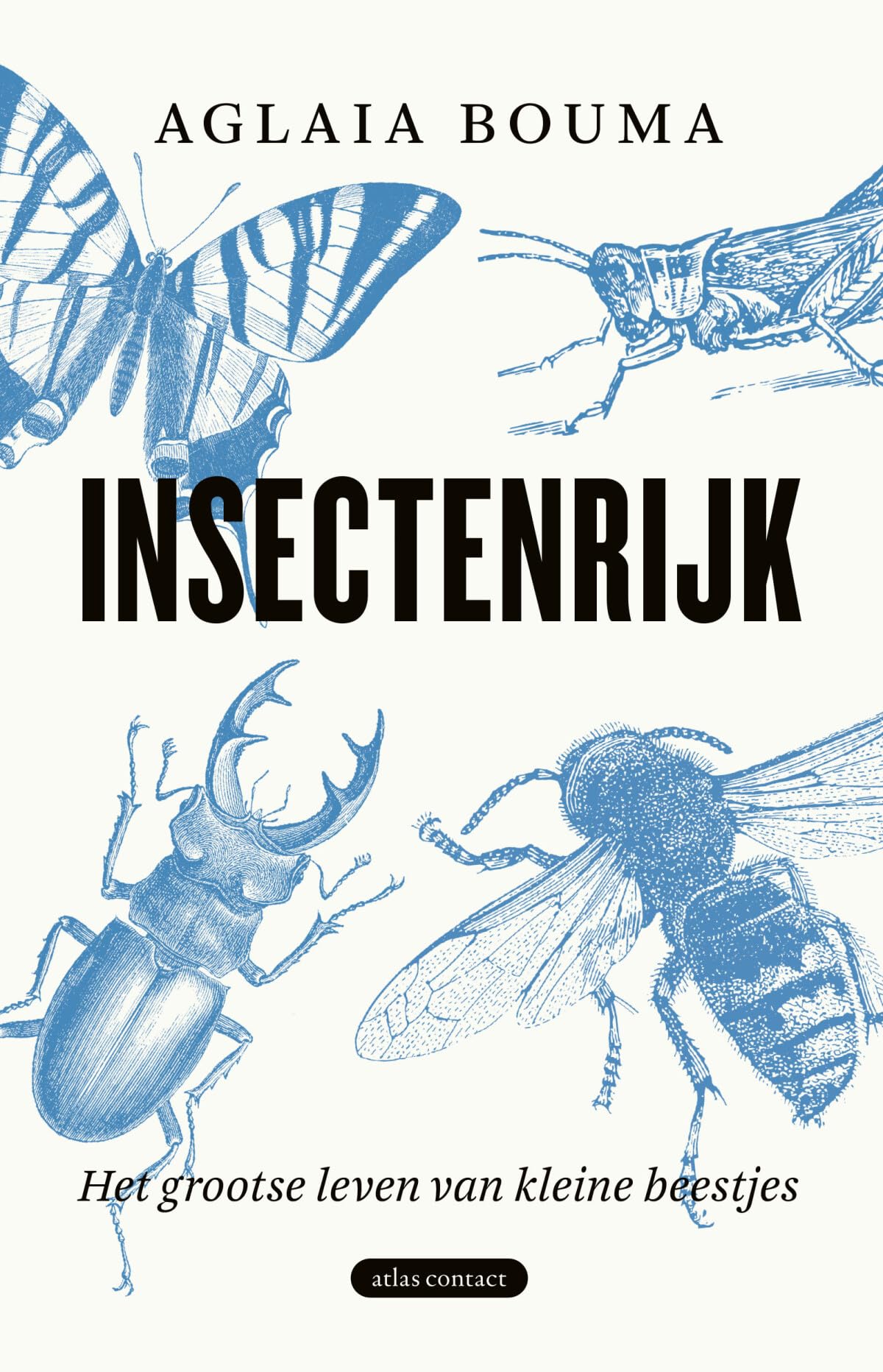 Insectenrijk: het grootse leven van kleine beestjes book