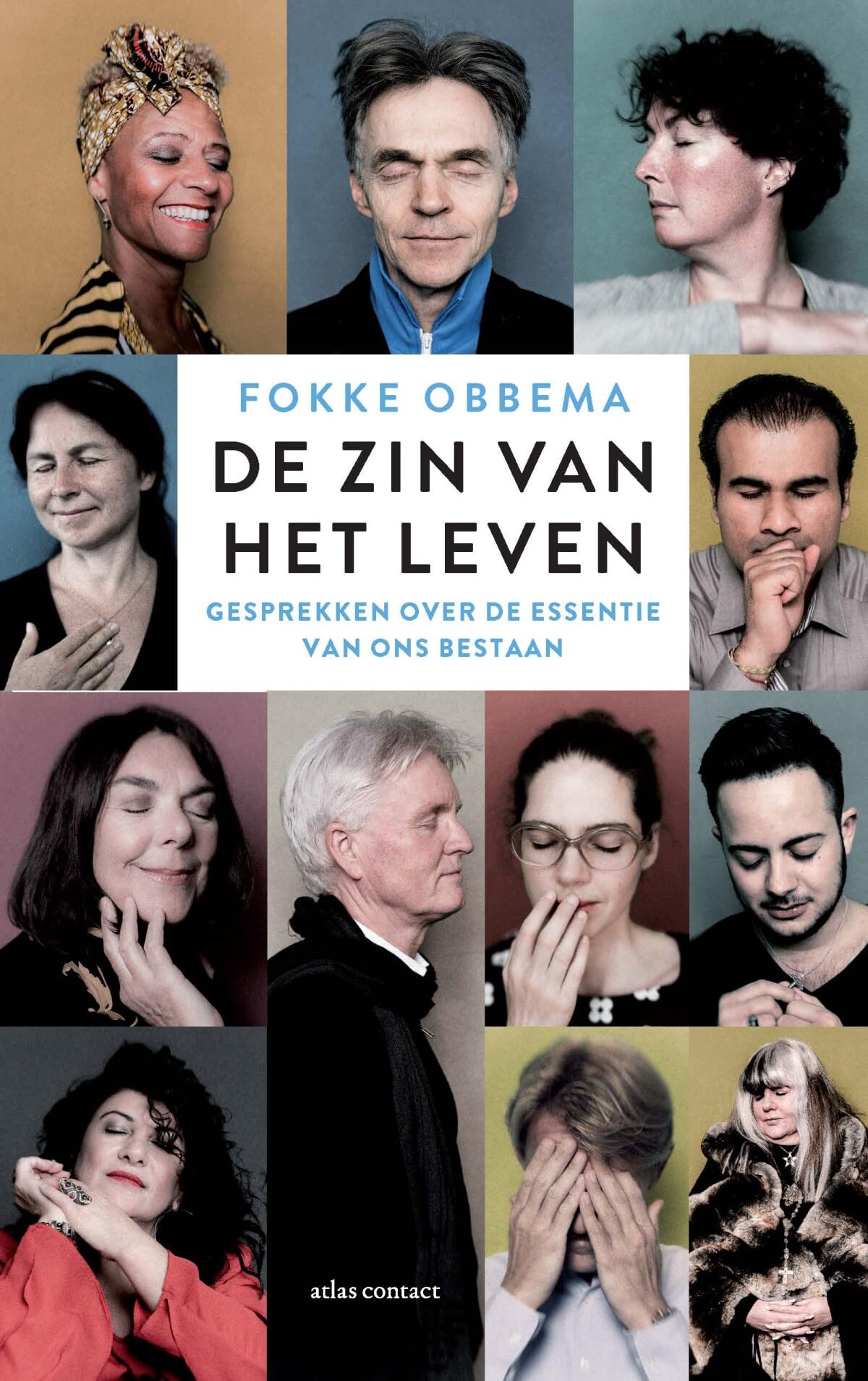 De zin van het leven: gesprekken over de essentie van ons bestaan book