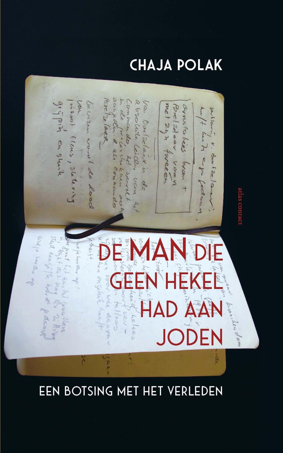 De man die geen hekel had aan joden: een botsing met het verleden book
