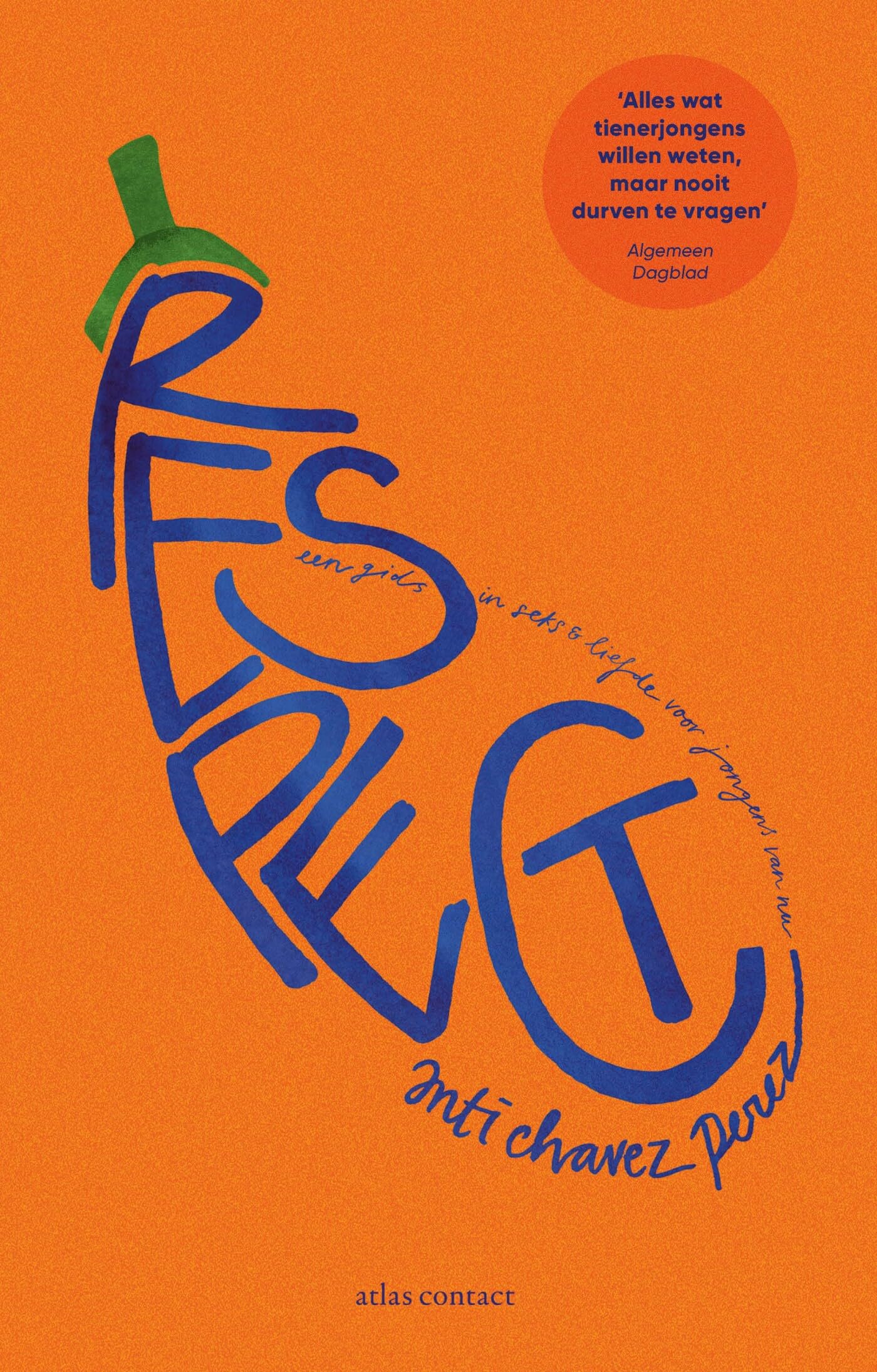 Respect: een gids in seks en liefde voor jongens van nu book
