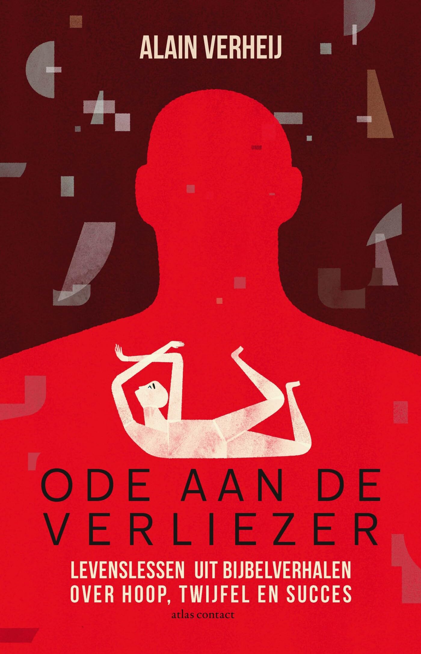 Ode aan de verliezer: levenslessen uit bijbelverhalen over hoop, twijfel en succes book