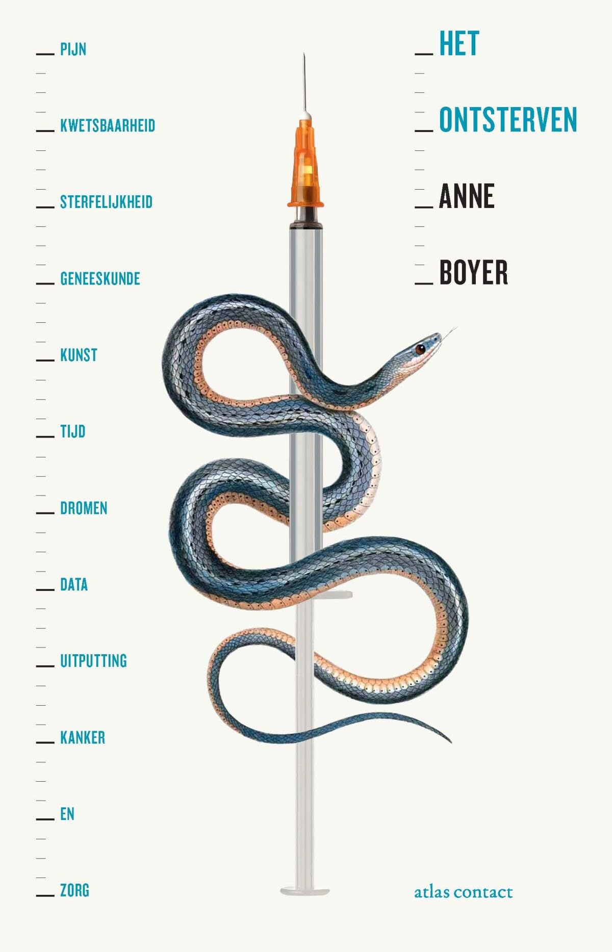 Het ontsterven: pijn, kwetsbaarheid, sterfte, geneeskunde, kunst, tijd, dromen, cijfers, uitputting, kanker en zorg book