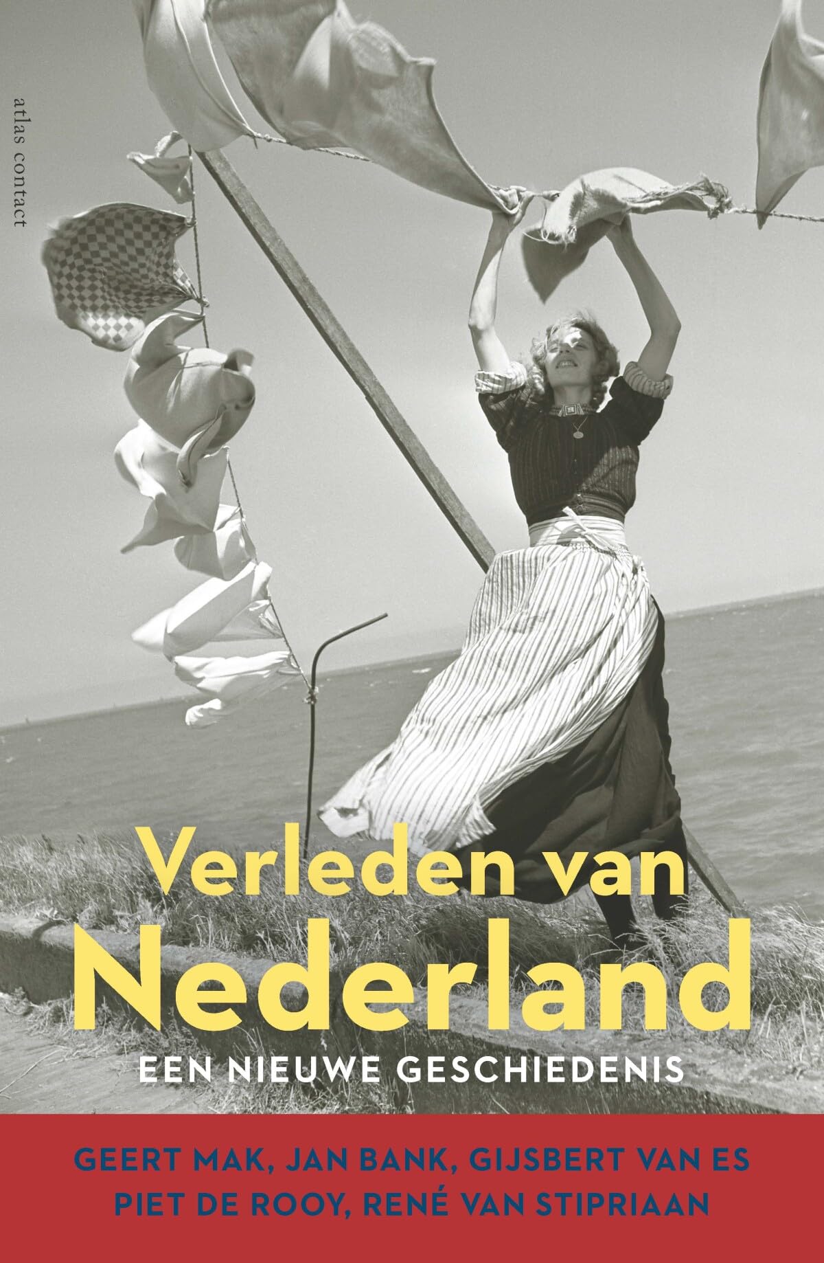 Verleden van Nederland: een nieuwe geschiedenis Politics & History