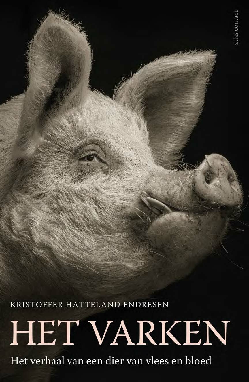 Het varken: het verhaal van een dier van vlees en bloed book