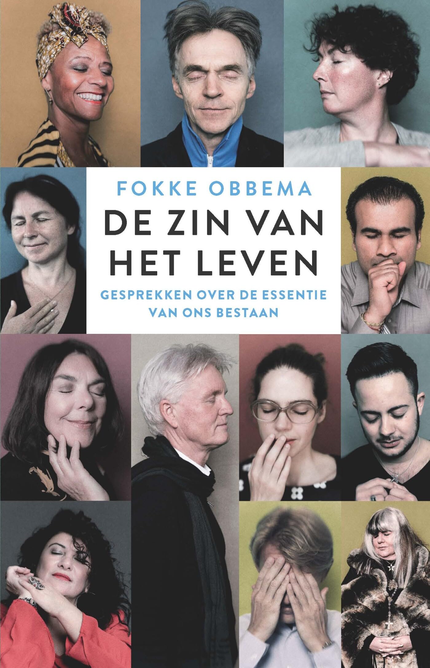 De zin van het leven: gesprekken over de essentie van ons bestaan book