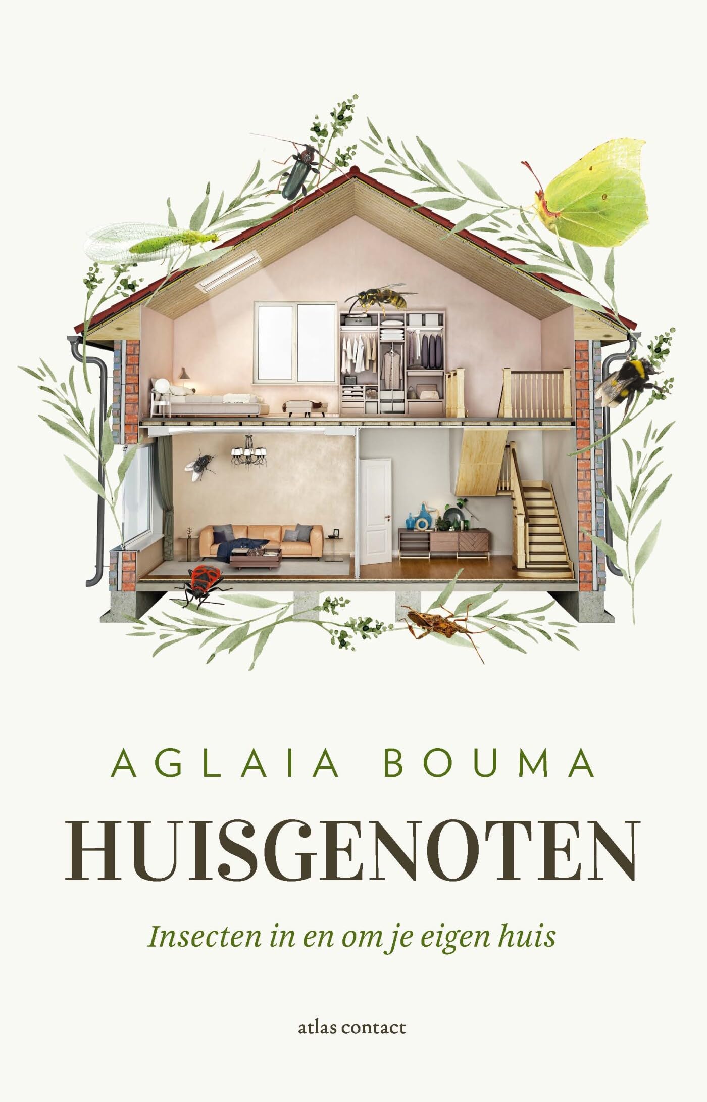Huisgenoten: insecten in en om je eigen huis Mathematics