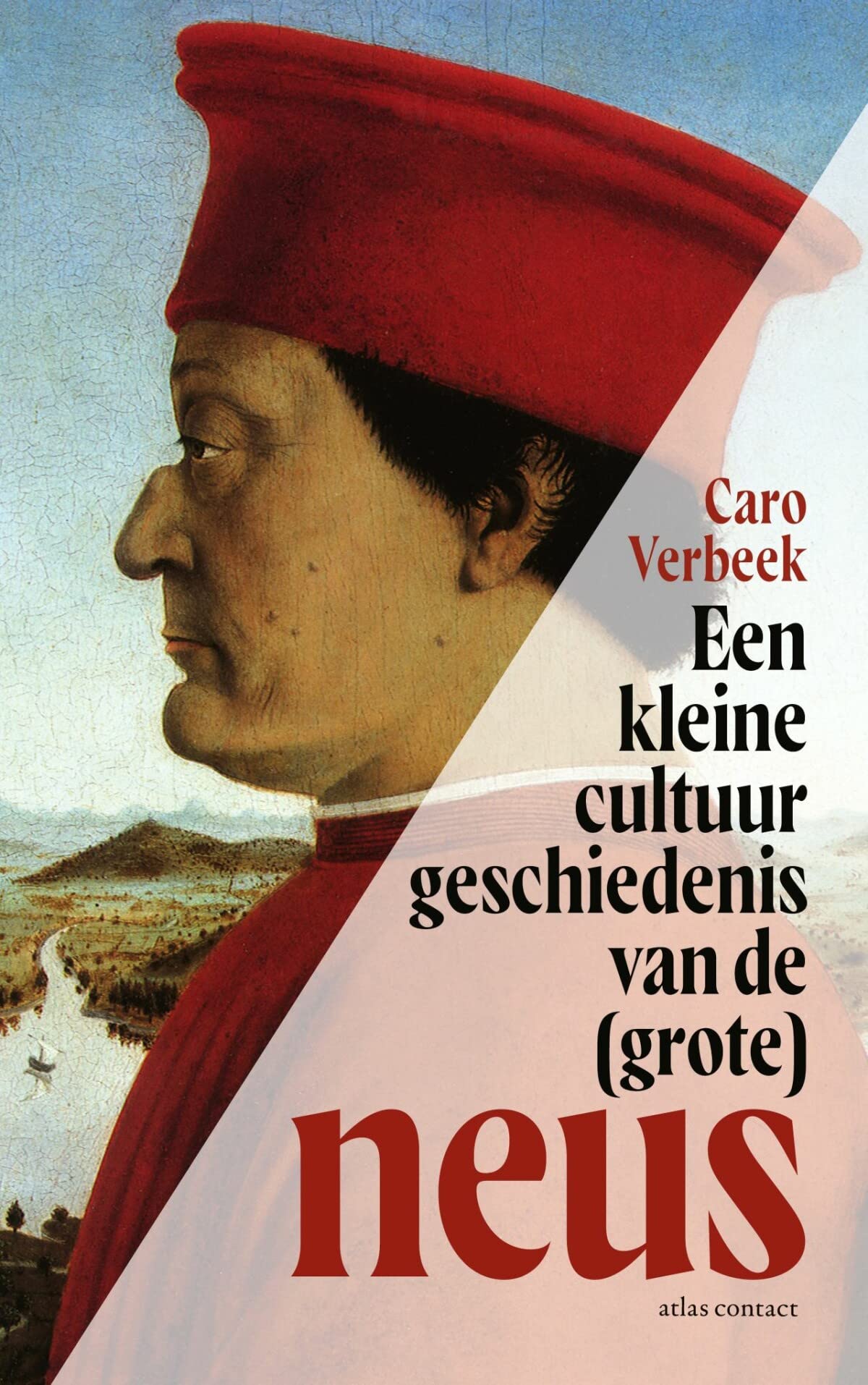 Een kleine cultuurgeschiedenis van de (grote) neus book