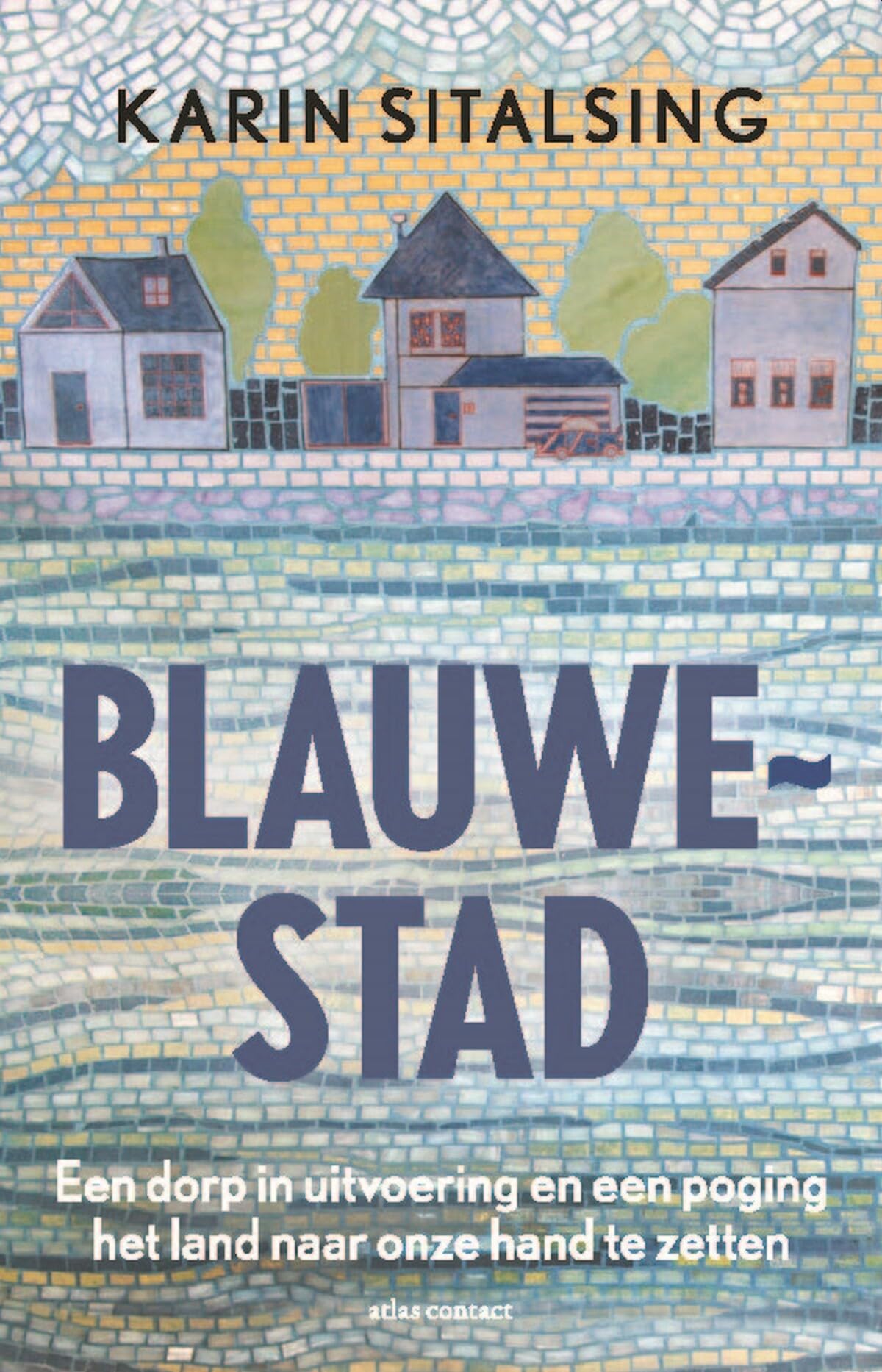 Blauwestad: een dorp in uitvoering en een poging het land naar onze hand te zetten Books