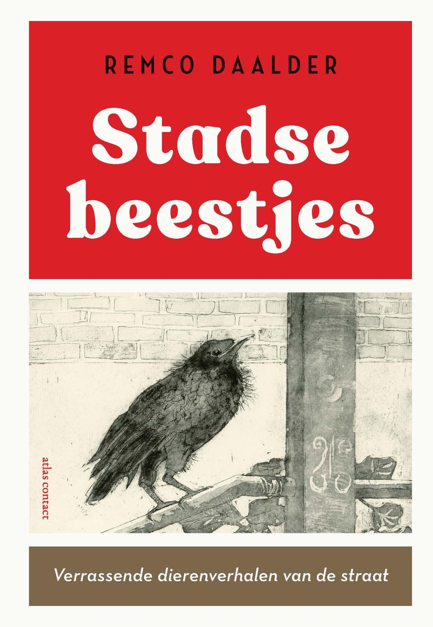 Stadse beestjes: verrassende dierenverhalen van de straat book