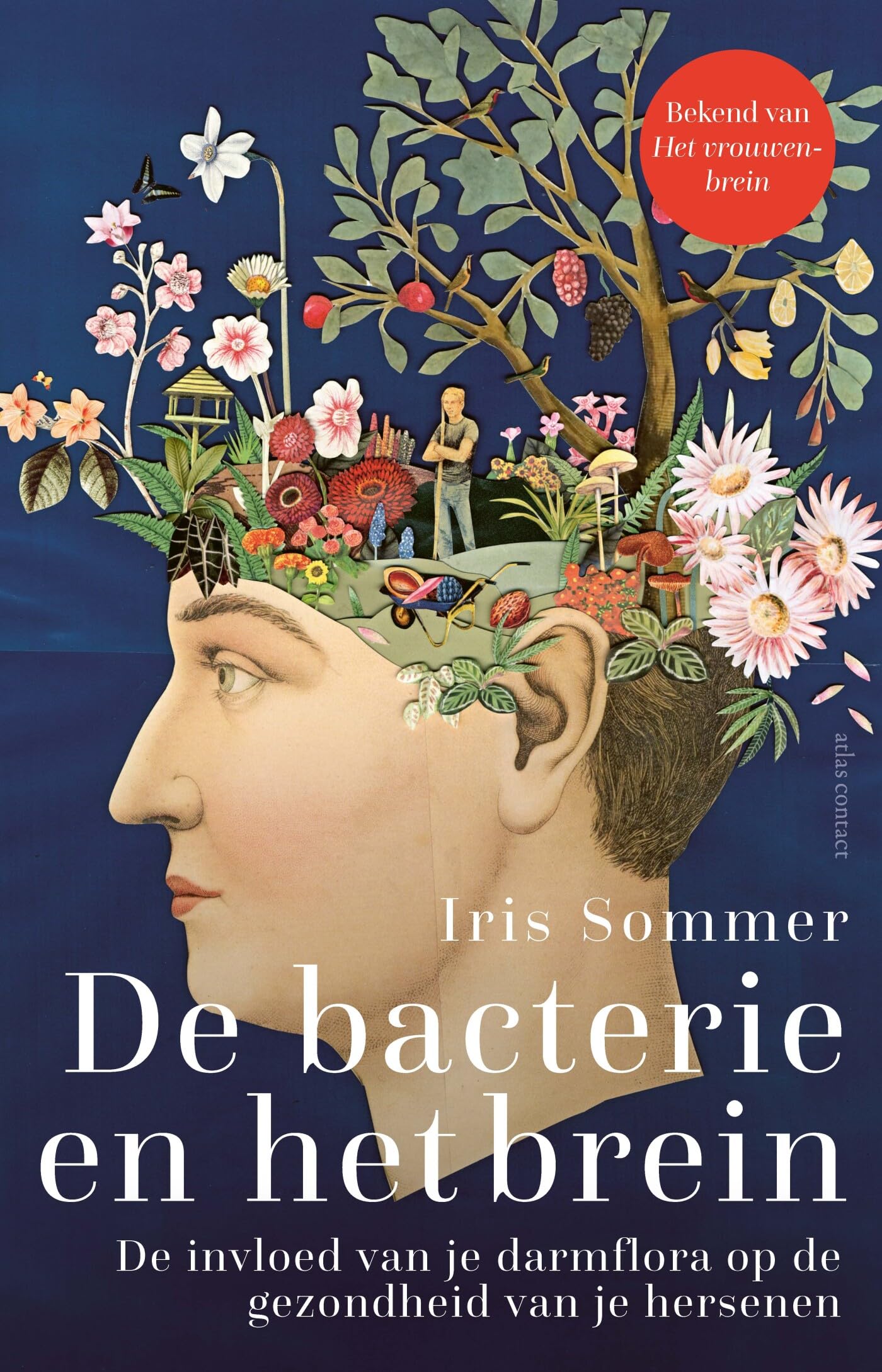 De bacterie en het brein: de invloed van je darmflora op de gezondheid van je hersenen Health, Nutrition & Fitness