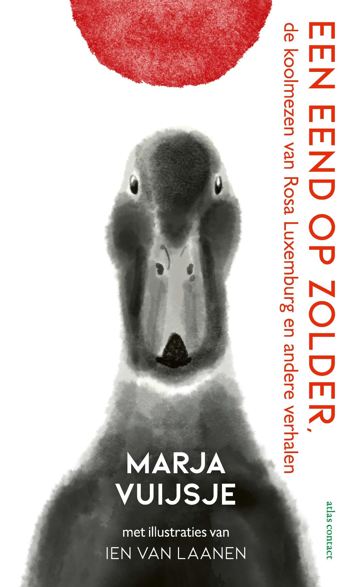 Een eend op zolder: de koolmezen van Rosa Luxemburg en andere verhalen book