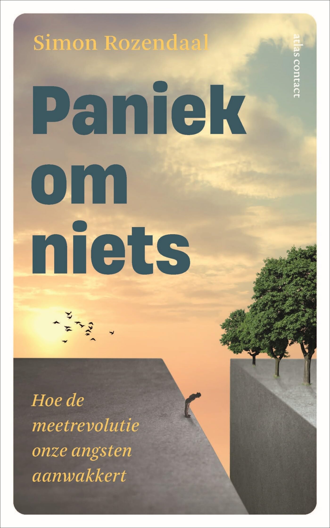 Paniek om niets: hoe de meetrevolutie onze angsten aanwakkert Philosophy