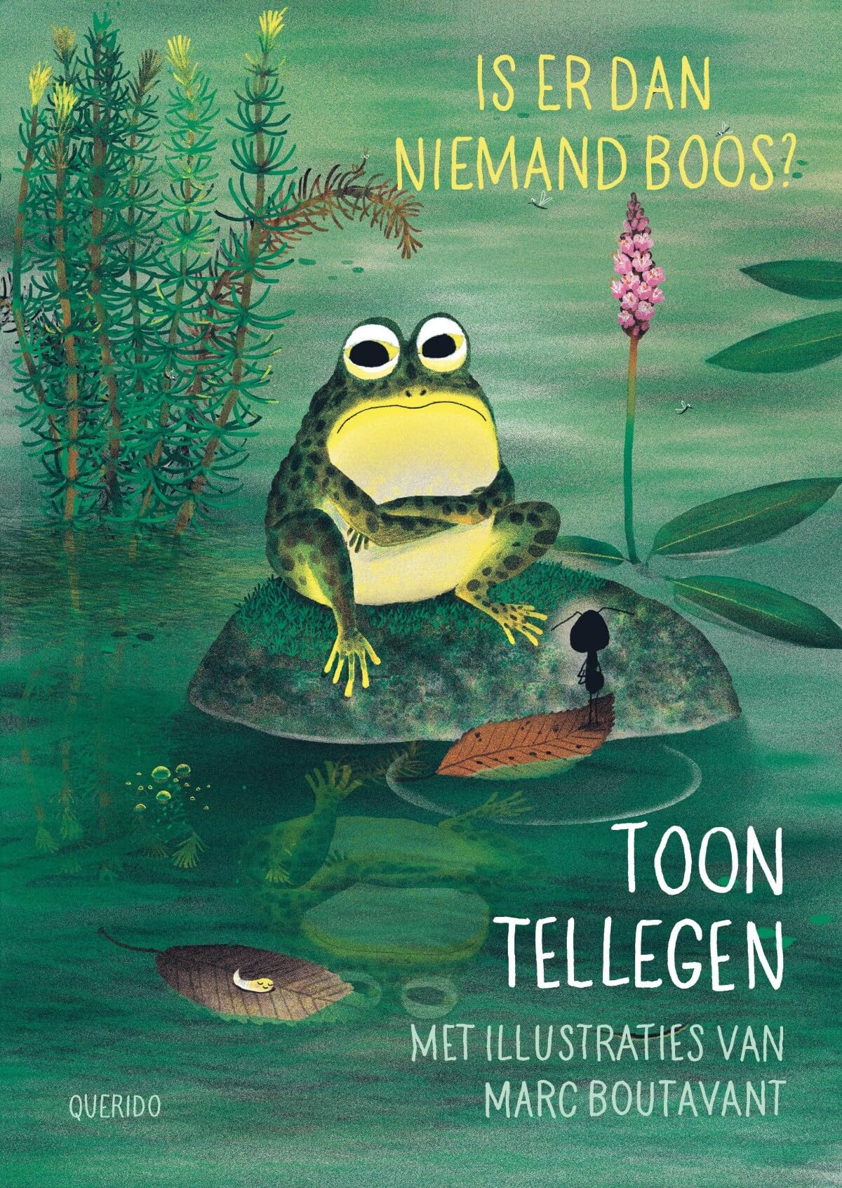 Is er dan niemand boos? (Boos, 1) Non-fiction