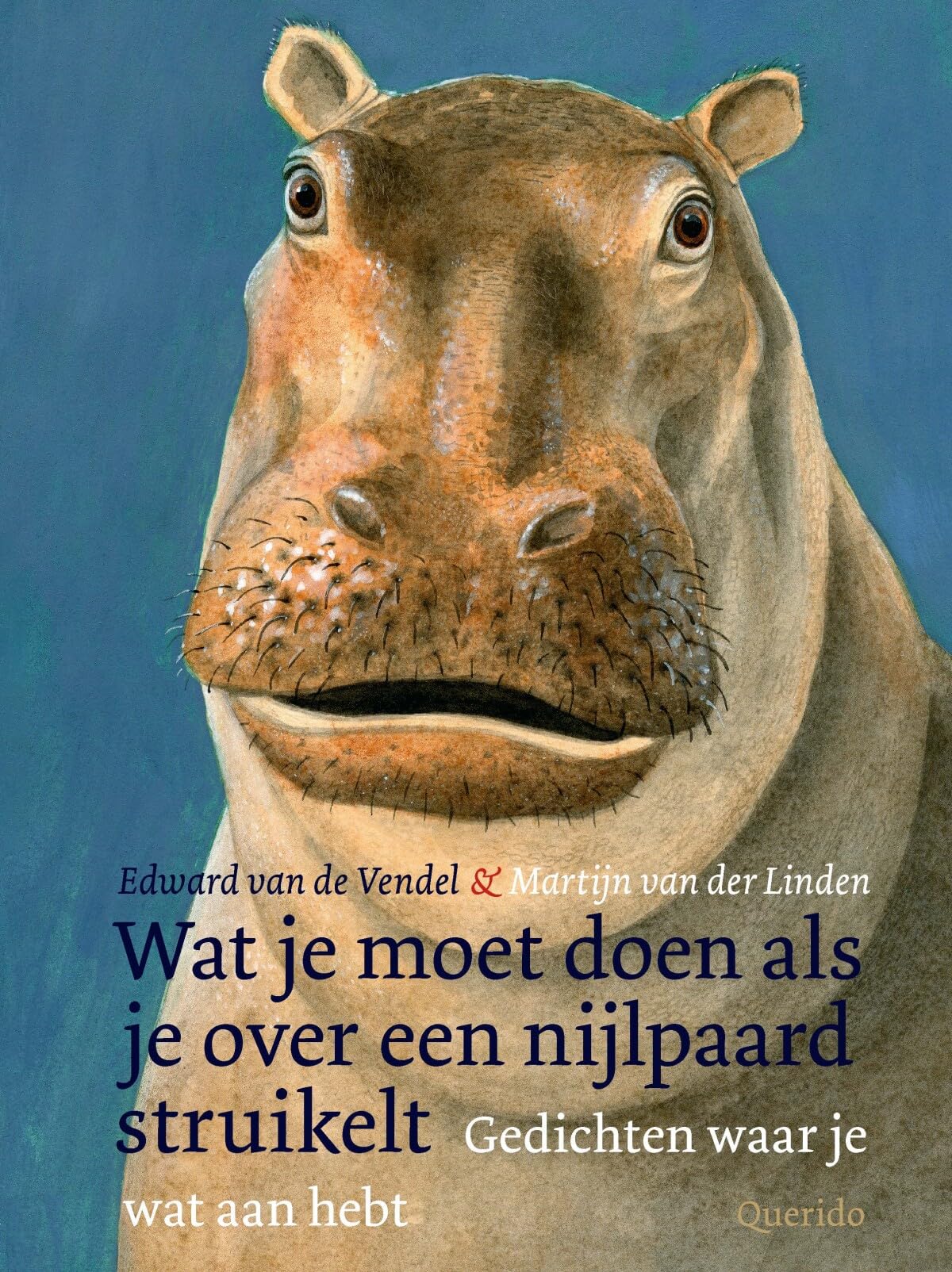 Wat je moet doen als je over een nijlpaard struikelt: gedichten waar je wat aan hebt Non-fiction