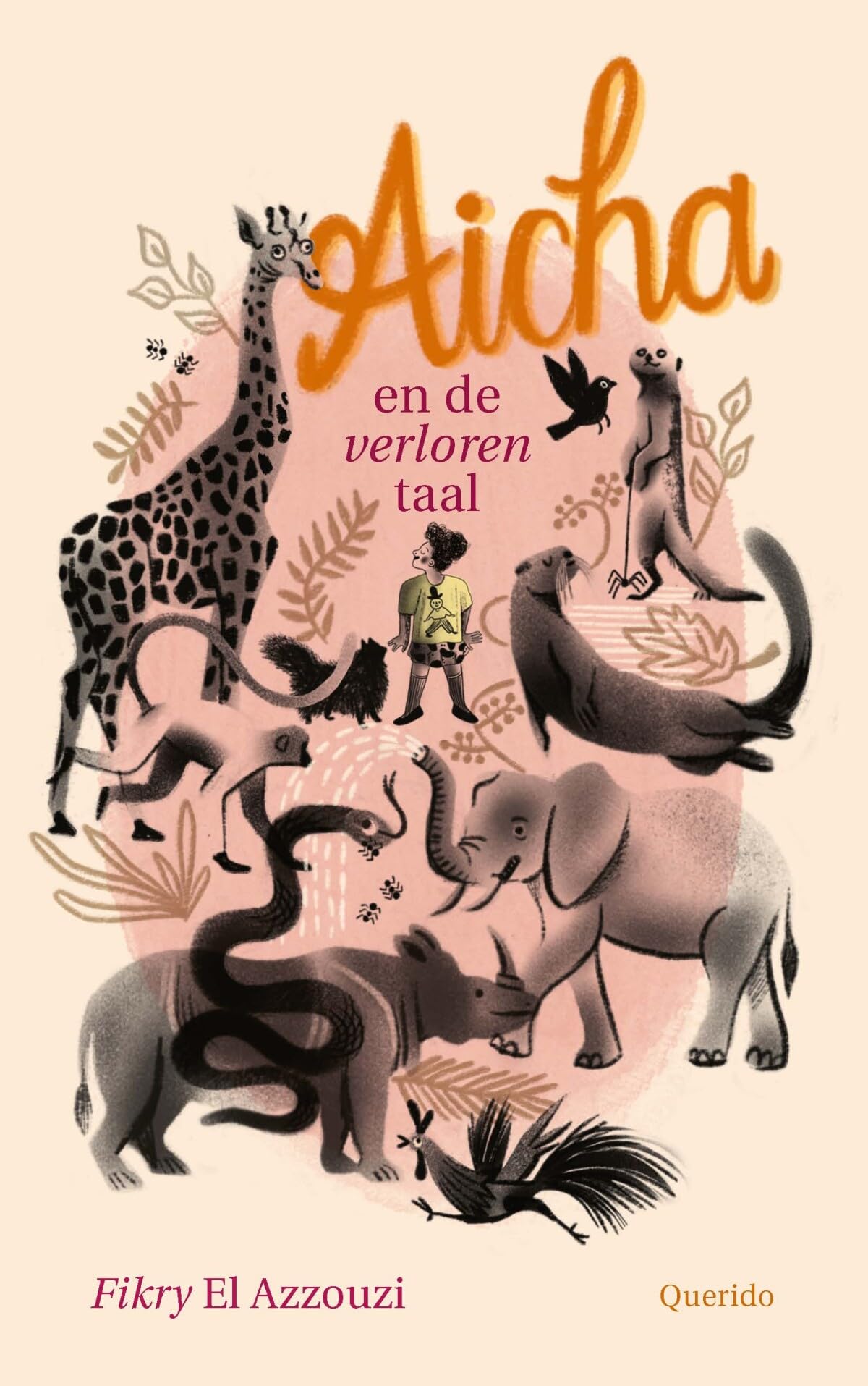 Aicha en de verloren taal book
