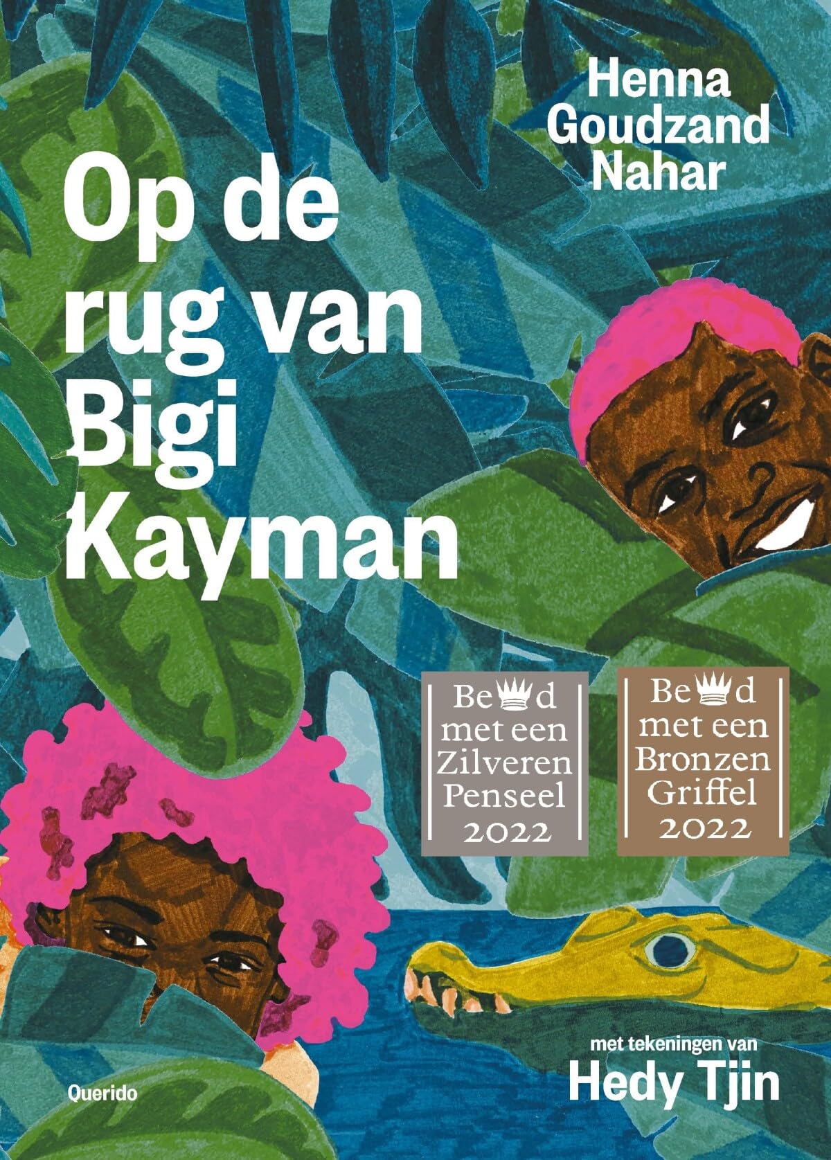 Op de rug van Bigi Kayman: een verhaal over Afi en Kofi en de grote kaaiman ... book