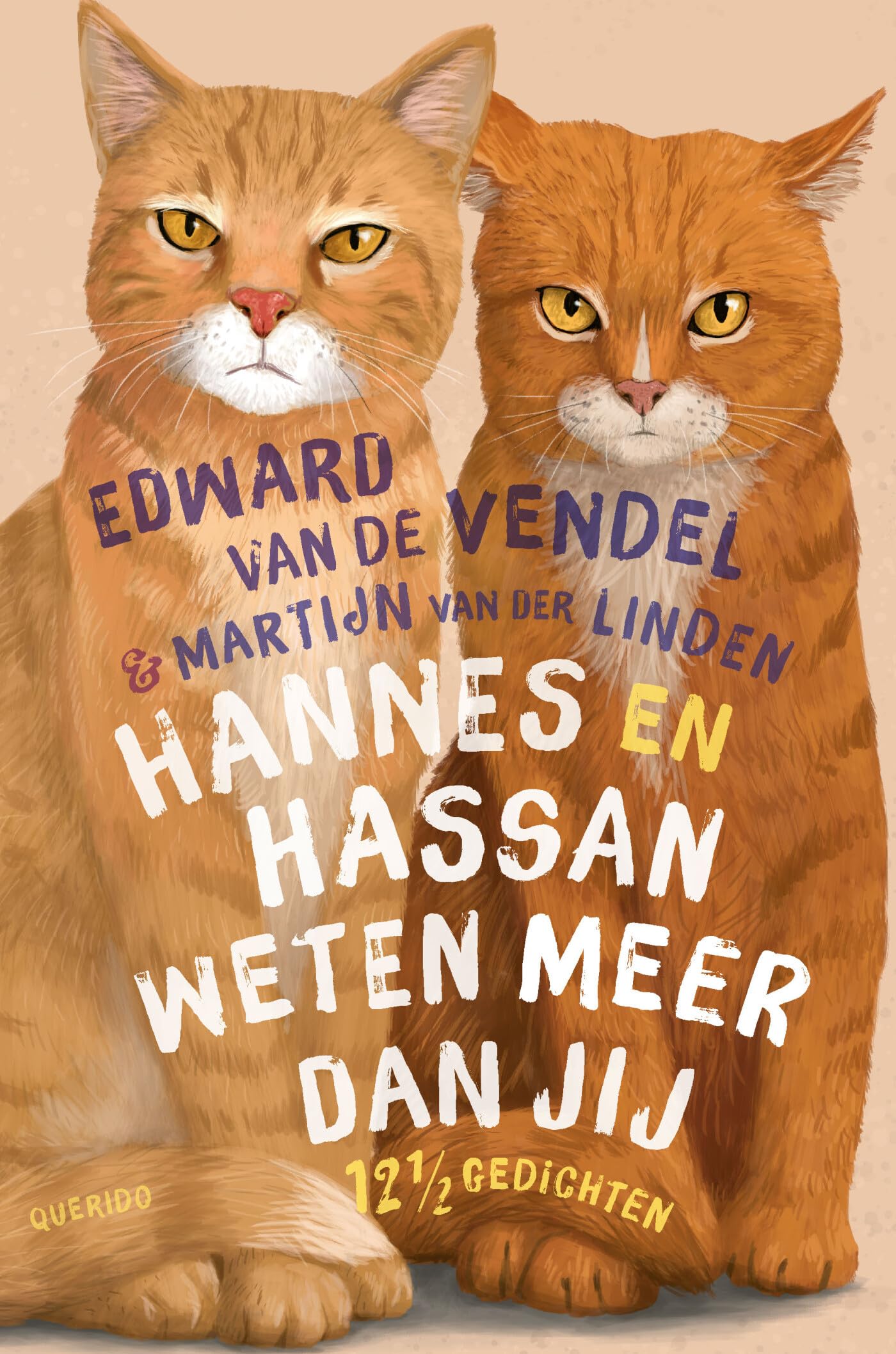 Hannes en Hassan weten meer dan jij book