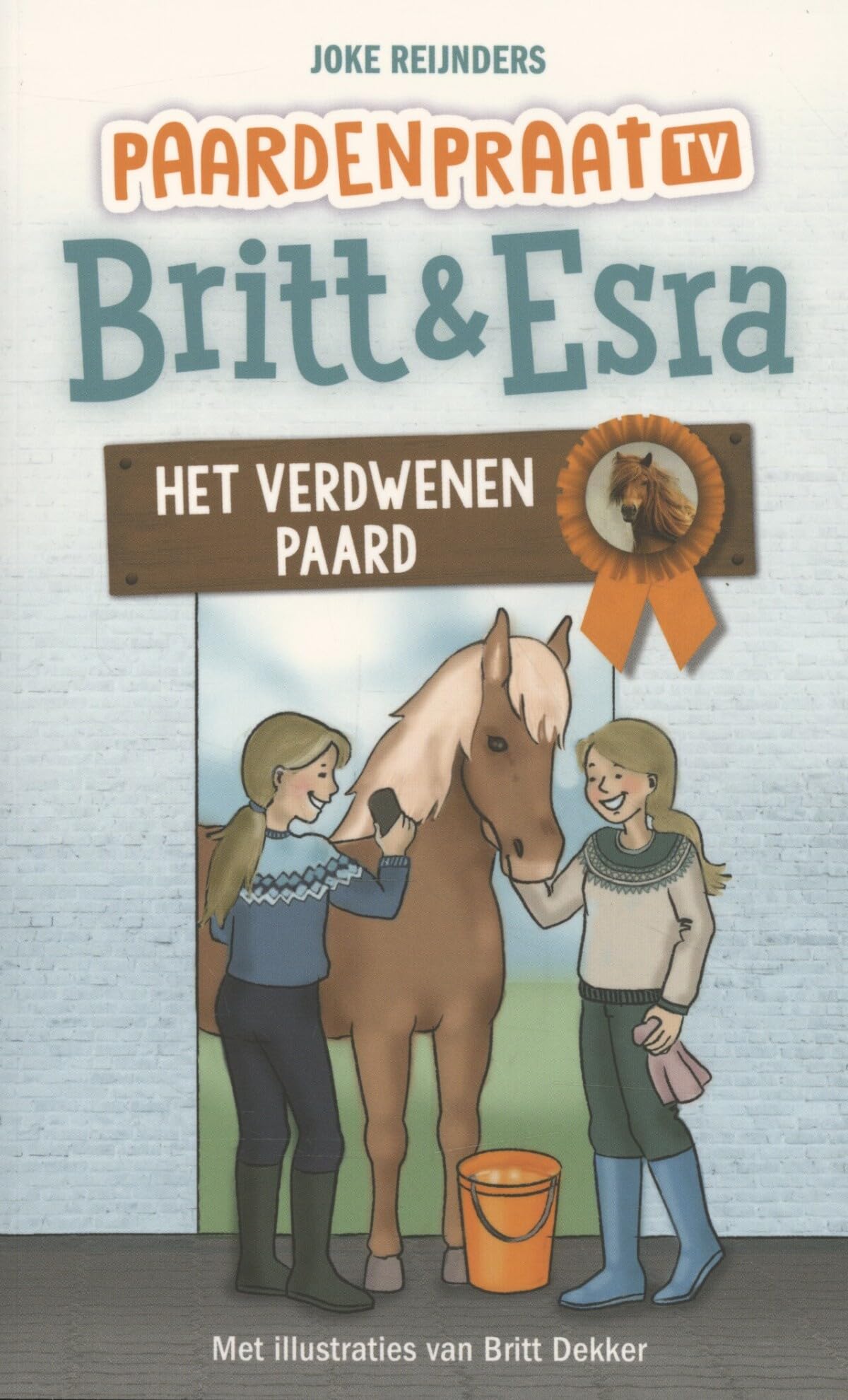 Het verdwenen paard (Britt & Esra, 6) Leisure & Fun
