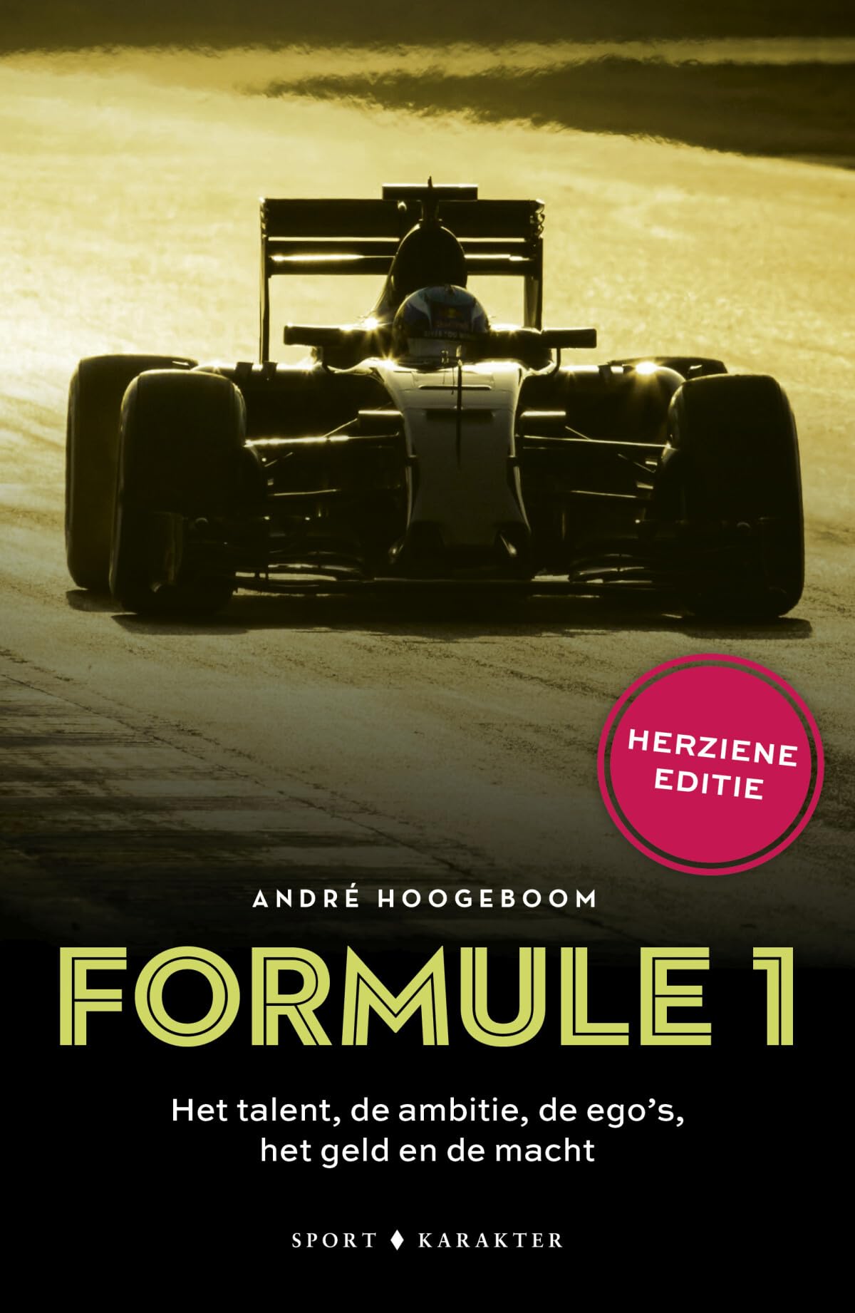 Formule 1: het talent, de ambitie, de ego's, het geld en de macht book