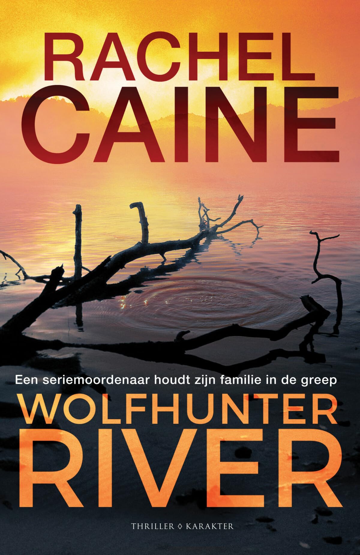 Wolfhunter River: Een seriemoordenaar houdt zijn familie in de greep (Stillhouse Lake-serie, 3) Action & Adventure