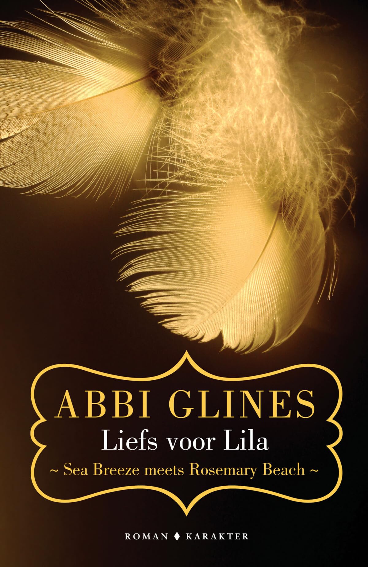 Liefs voor Lila (Sea breeze meets Rosemary Beach, 2) Contemporary literature