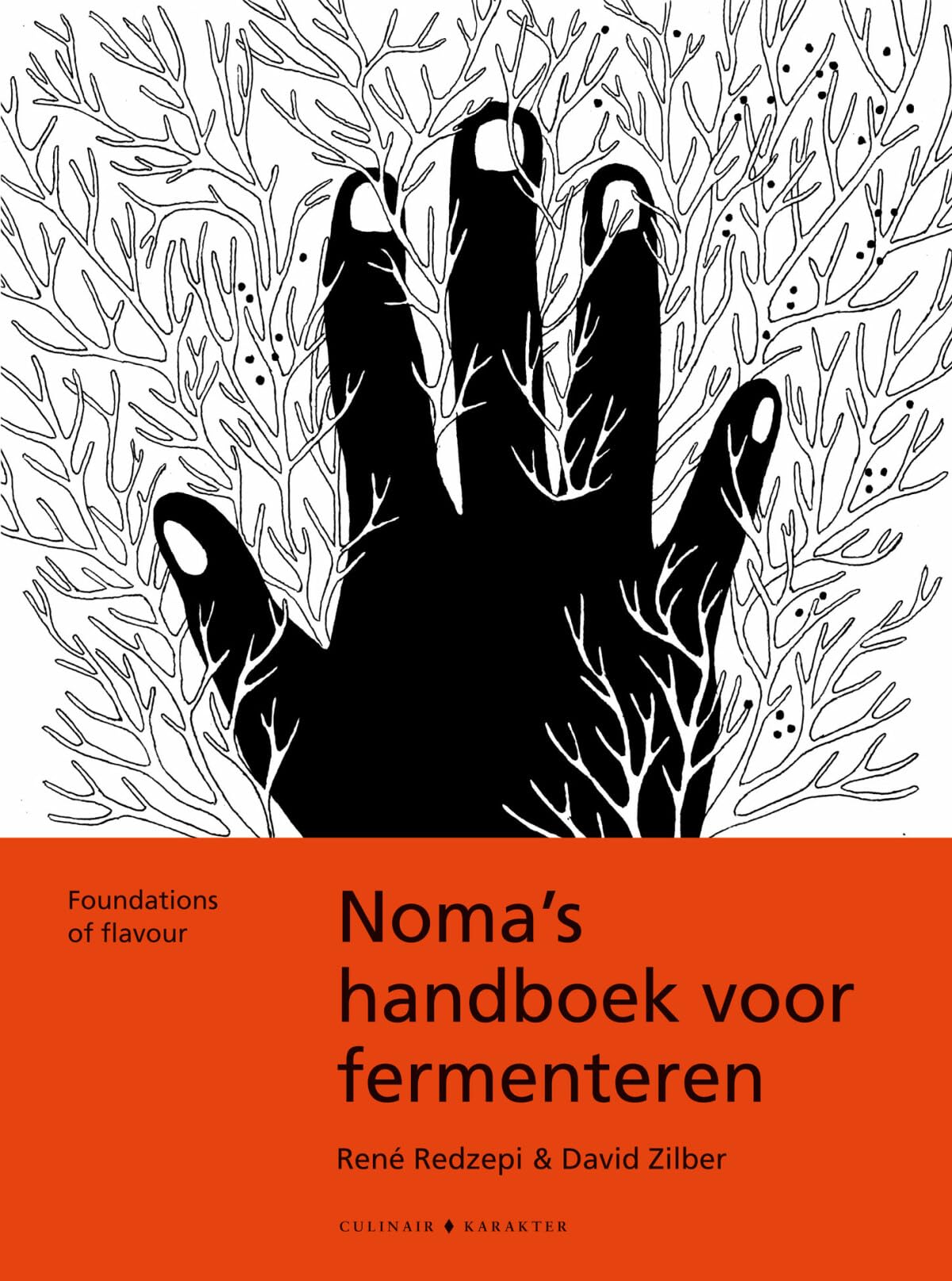 Noma's handboek voor fermenteren: Foundations of flavour (Culinair) Leisure, Home & Garden