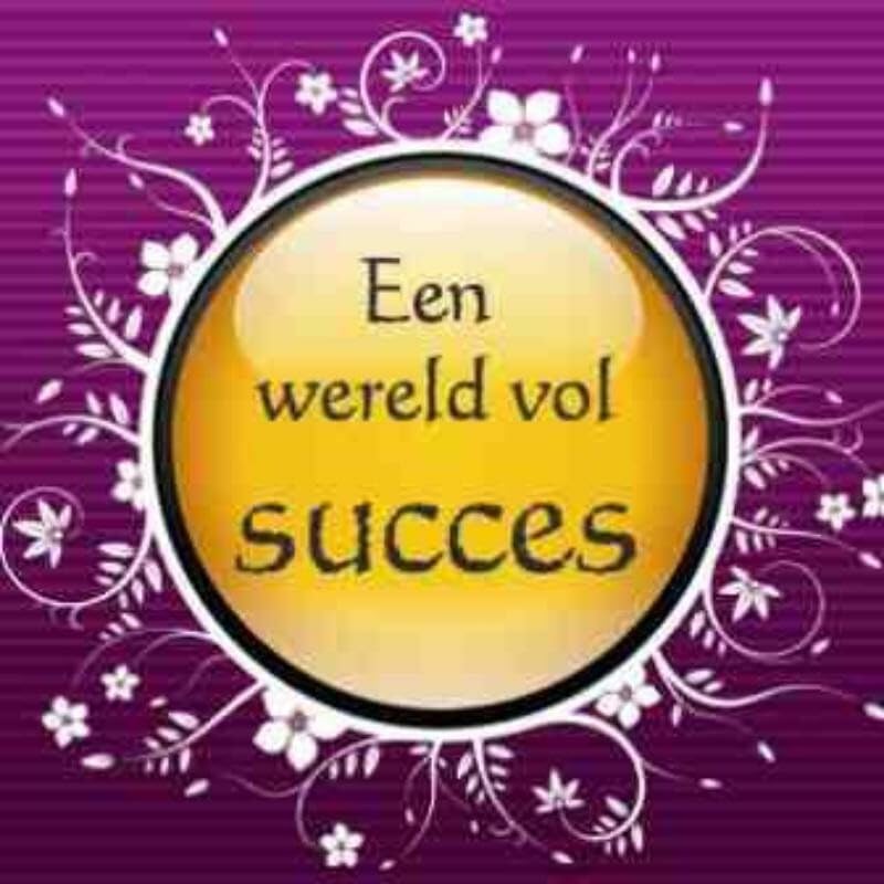 Product Image: Een wereld vol succes