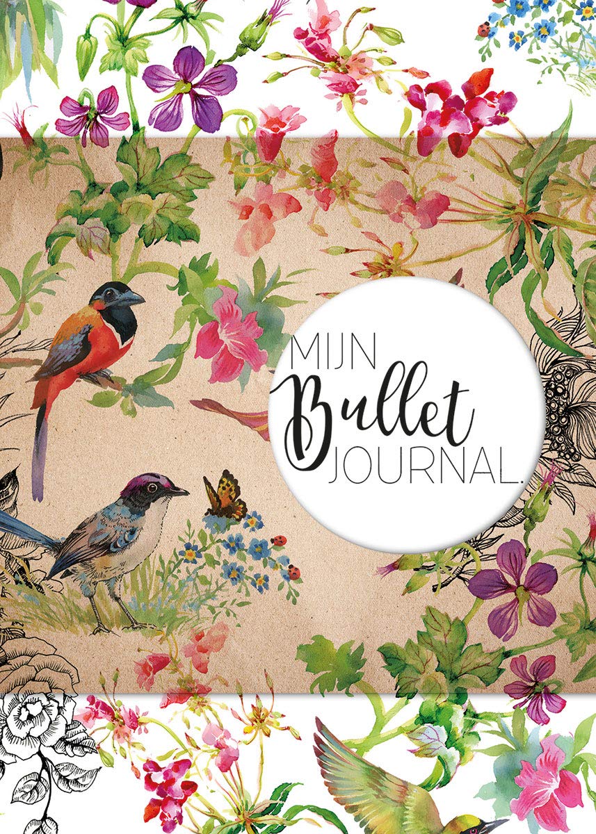 Mijn bullet journal: agenda, planner, lijstjes book