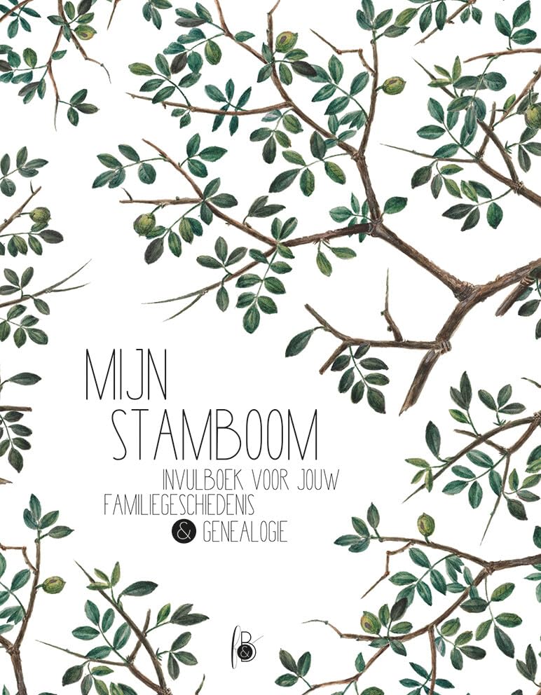 Mijn stamboom: Invulboek voor jouw familiegeschiedenis & genealogie book