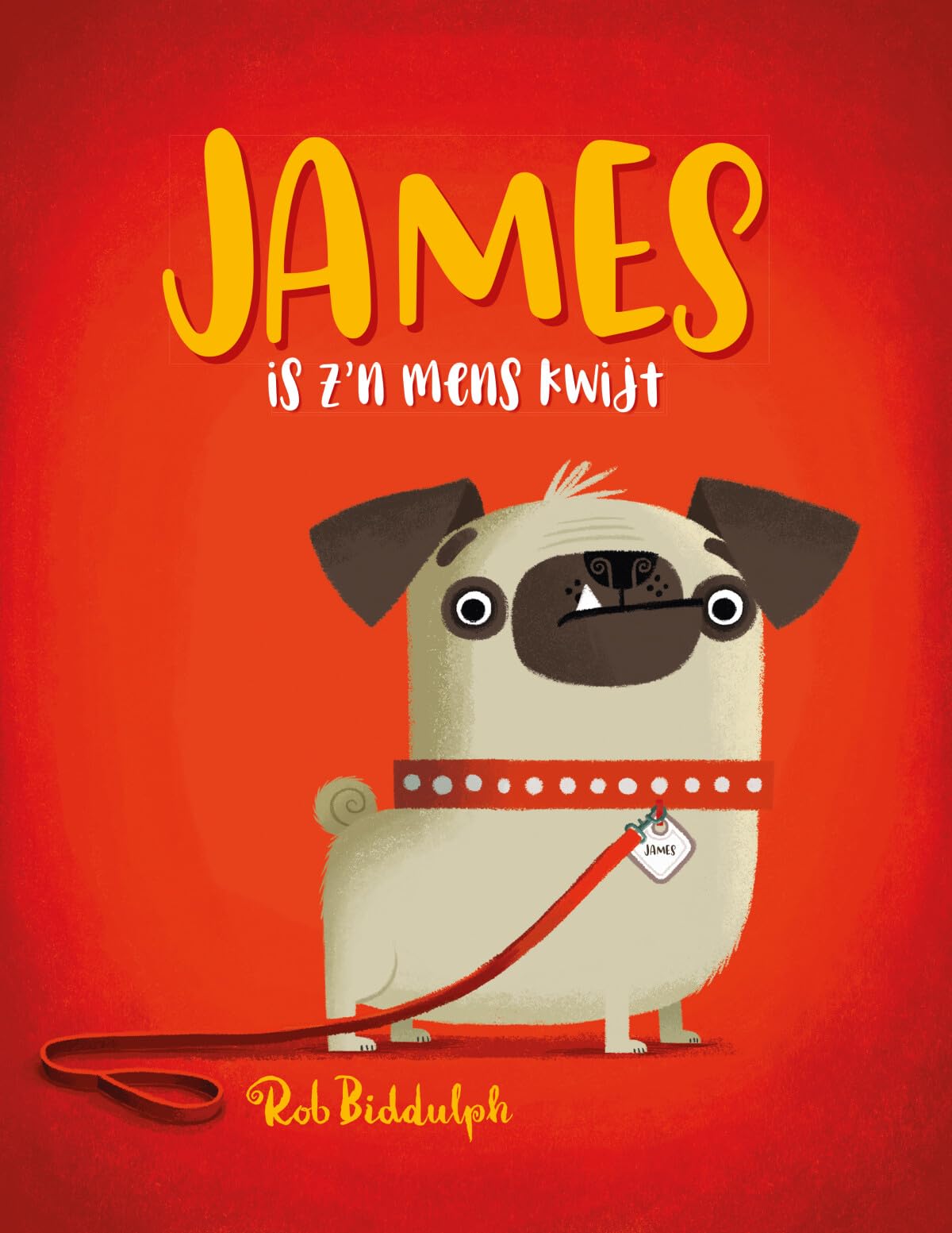 James is z'n mens kwijt book
