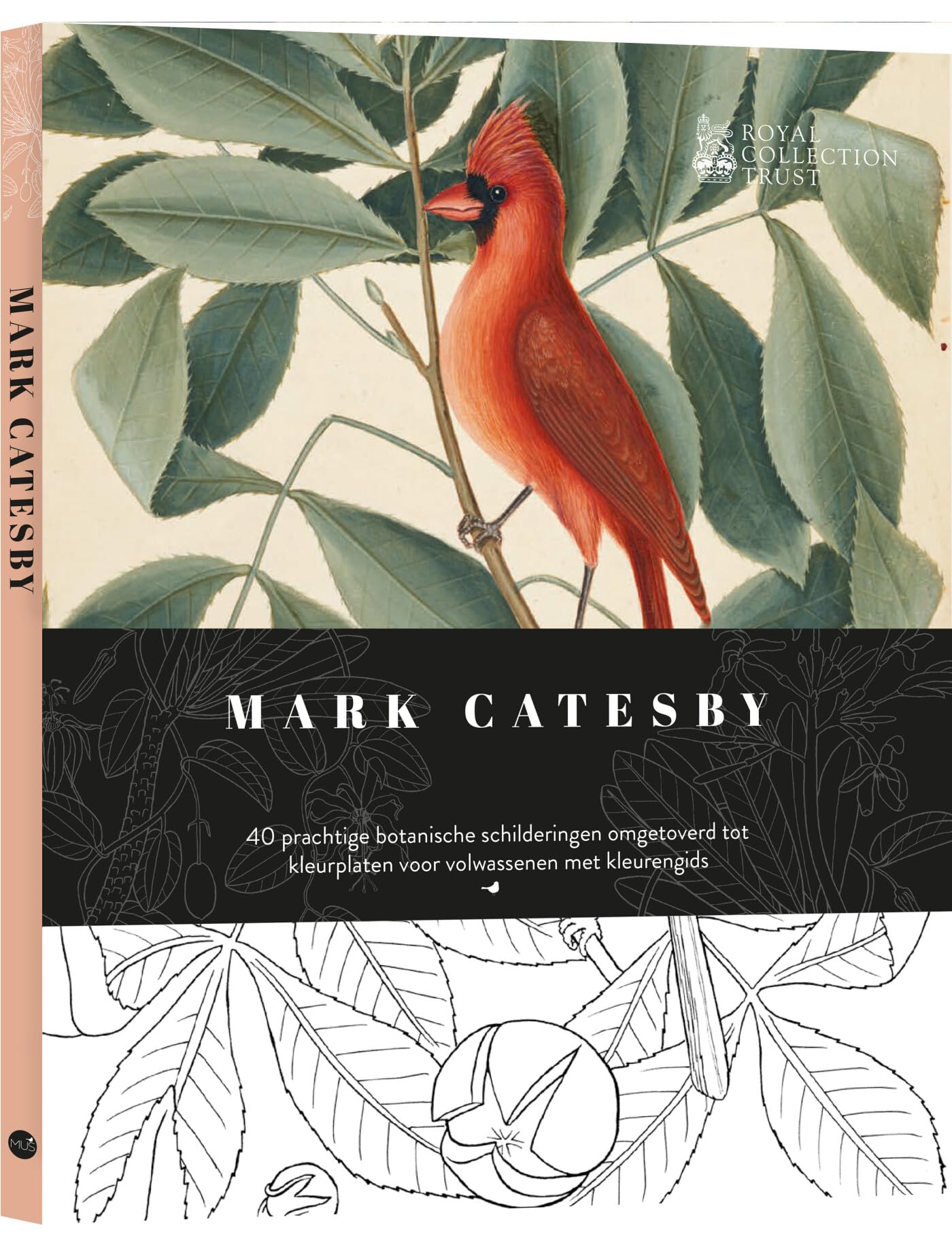 Mark Catesby Botanisch natuurkleurboek book