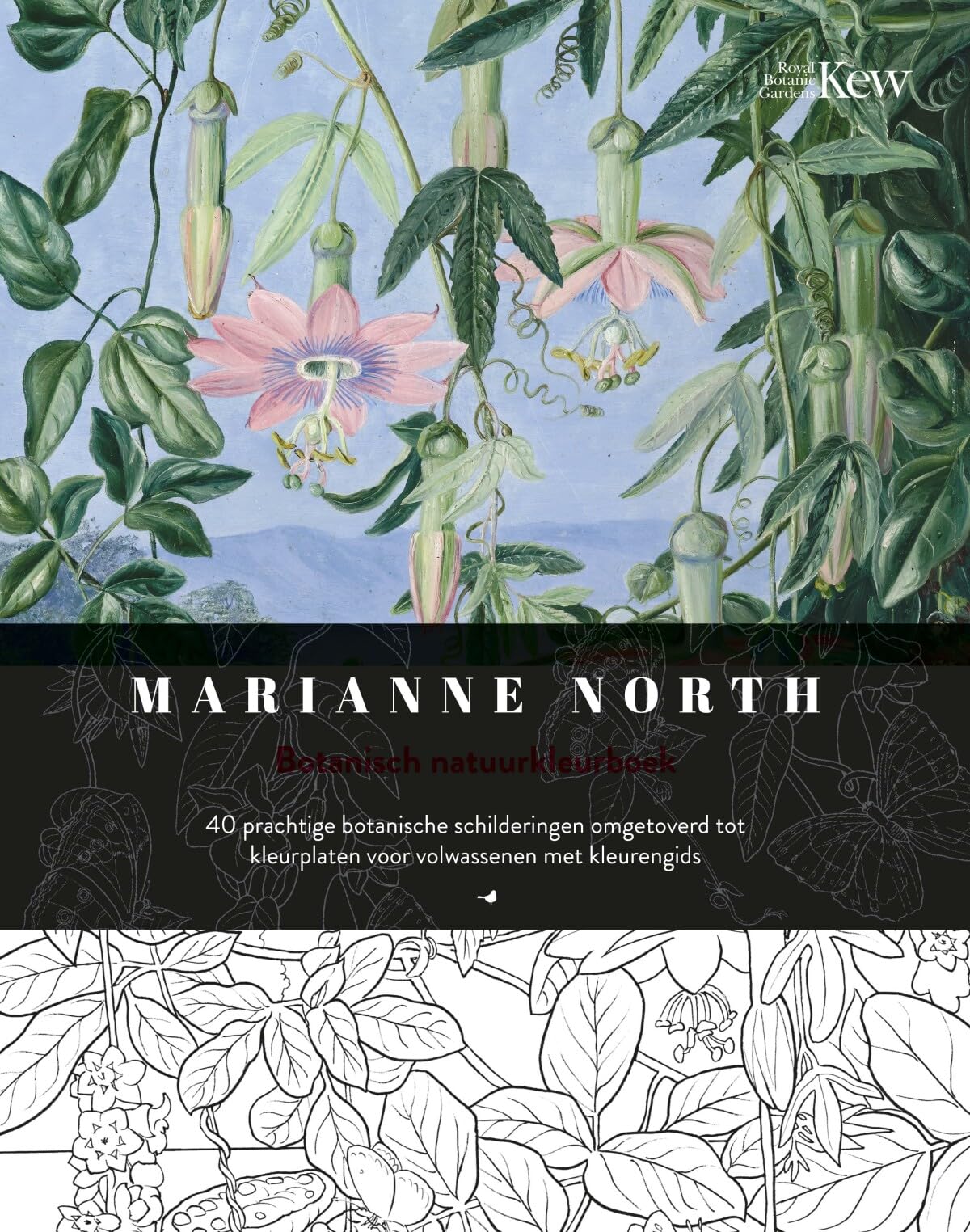 Marianne North Botanisch natuurkleurboek: 40 prachtige botanische schilderingen omgetoverd tot kleurplaten voor volwassenen met kleurengids Hobbies & Crafts