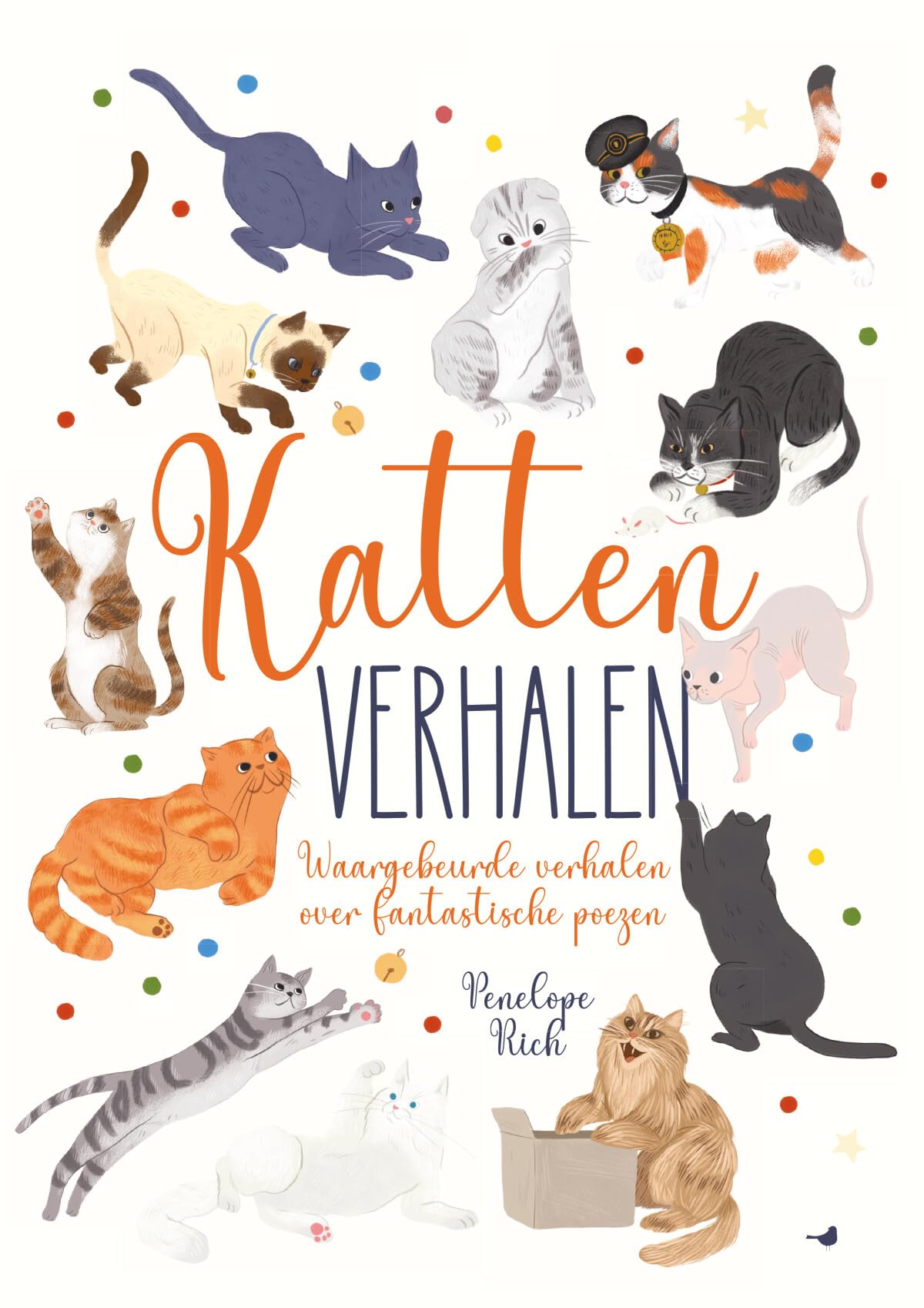 Kattenverhalen: waargebeurde verhalen over fantastische poezen book